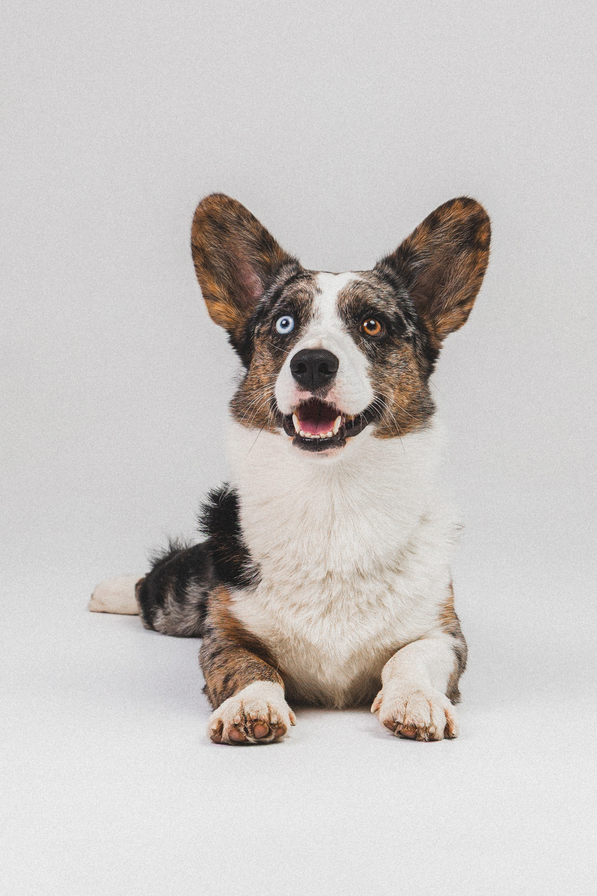 Анатолий и Рагнар