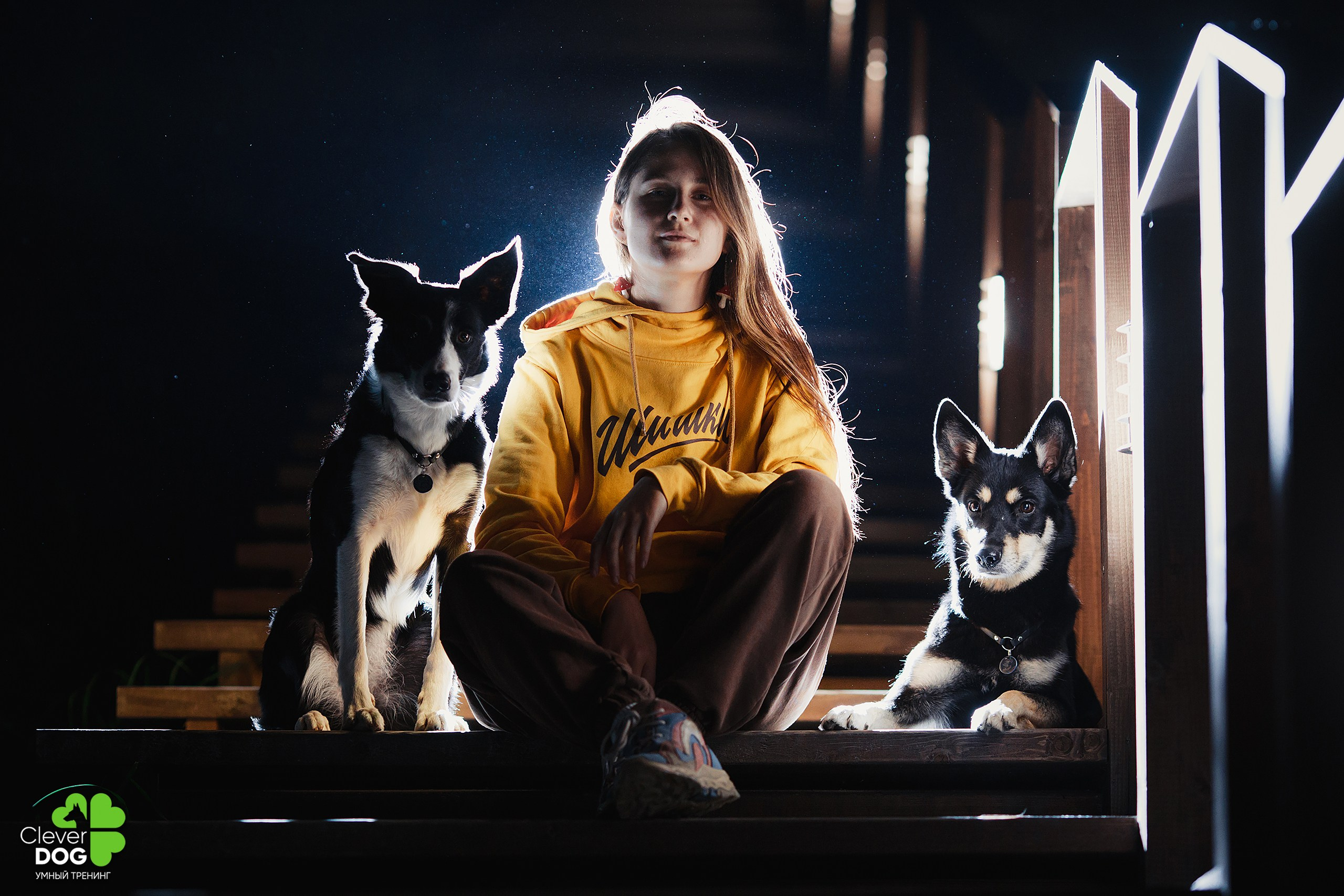 Кинологический лагерь CleverDog, 2024. Фотограф-анималист Mary Mart — Москва, Питер