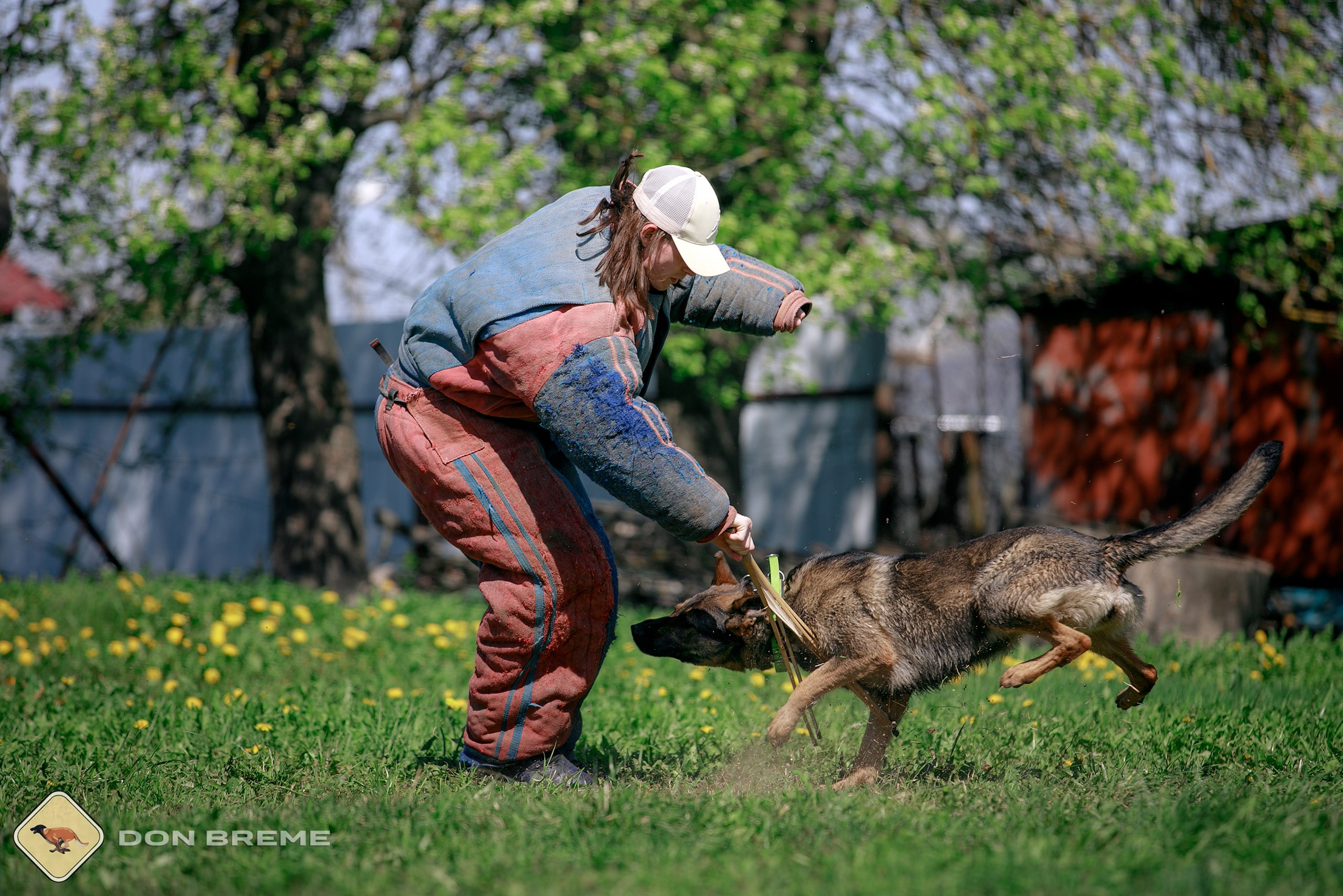 Семинар для фигурантов, день 4. Фотограф-анималист Mary Mart — Москва, Питер