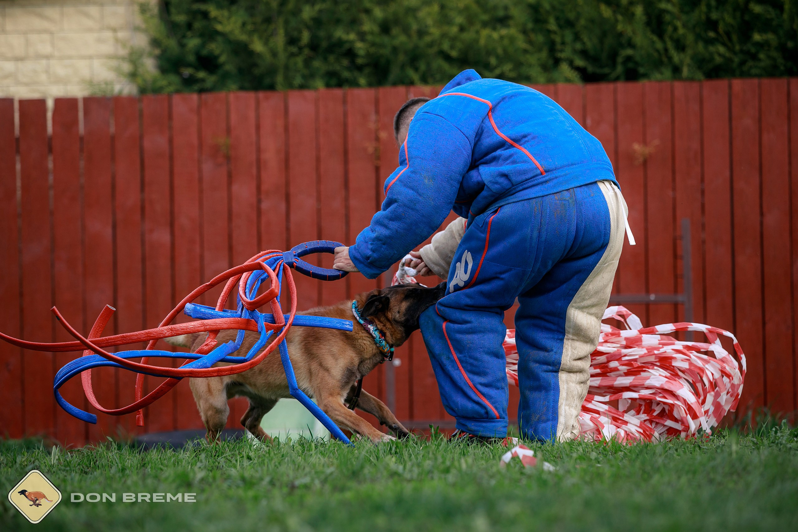 Семинар для фигурантов, день 2. Фотограф-анималист Mary Mart — Москва, Питер