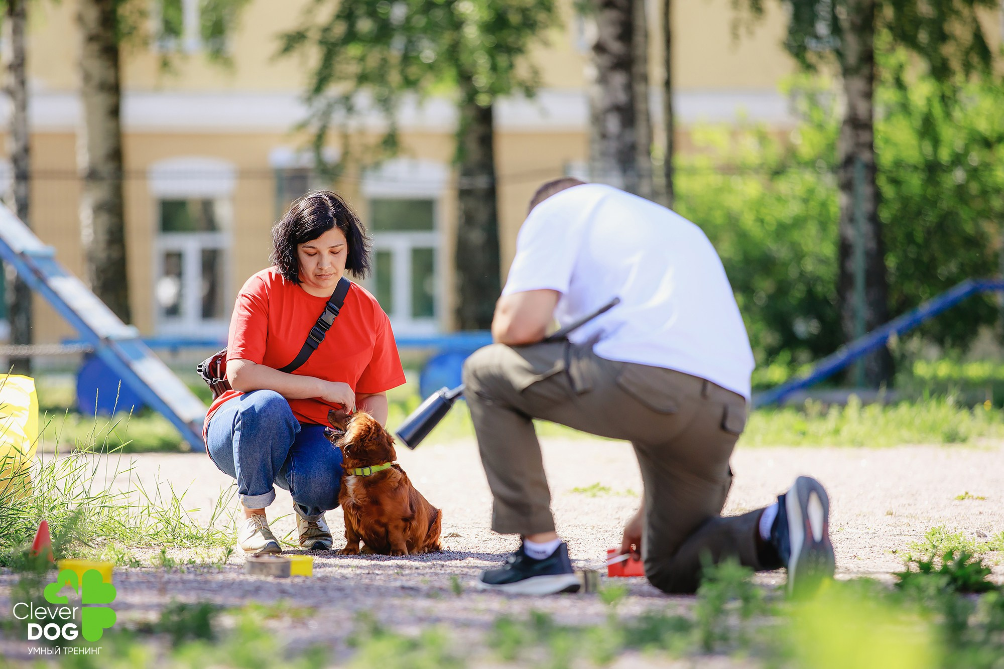 Семинар по поиску запаха с Иваном Ломовым, организатор CleverDog, СПб. Фотограф-анималист Mary Mart — Москва, Питер