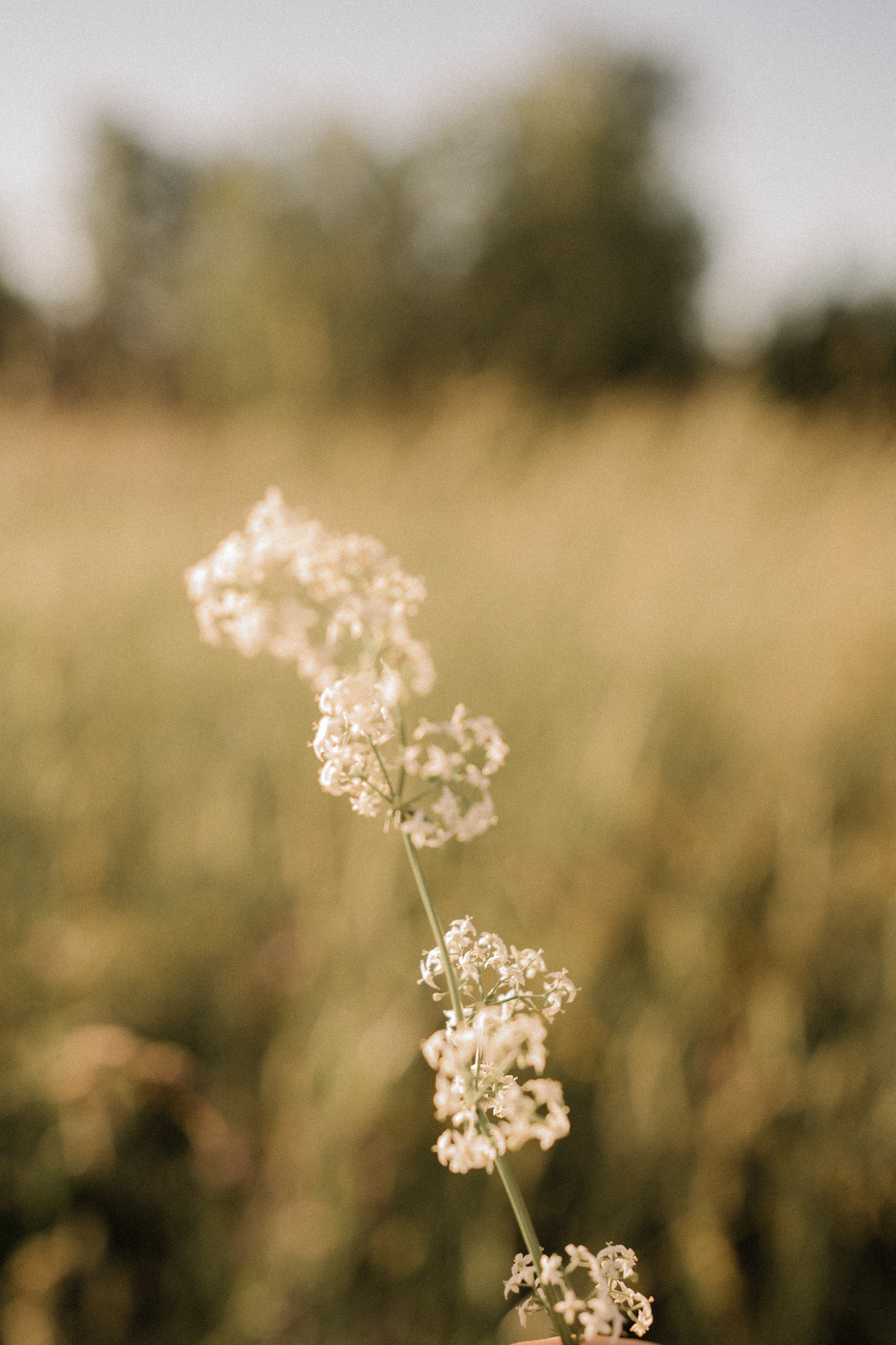 Катя Вася Маша. Фотограф Петрозаводск