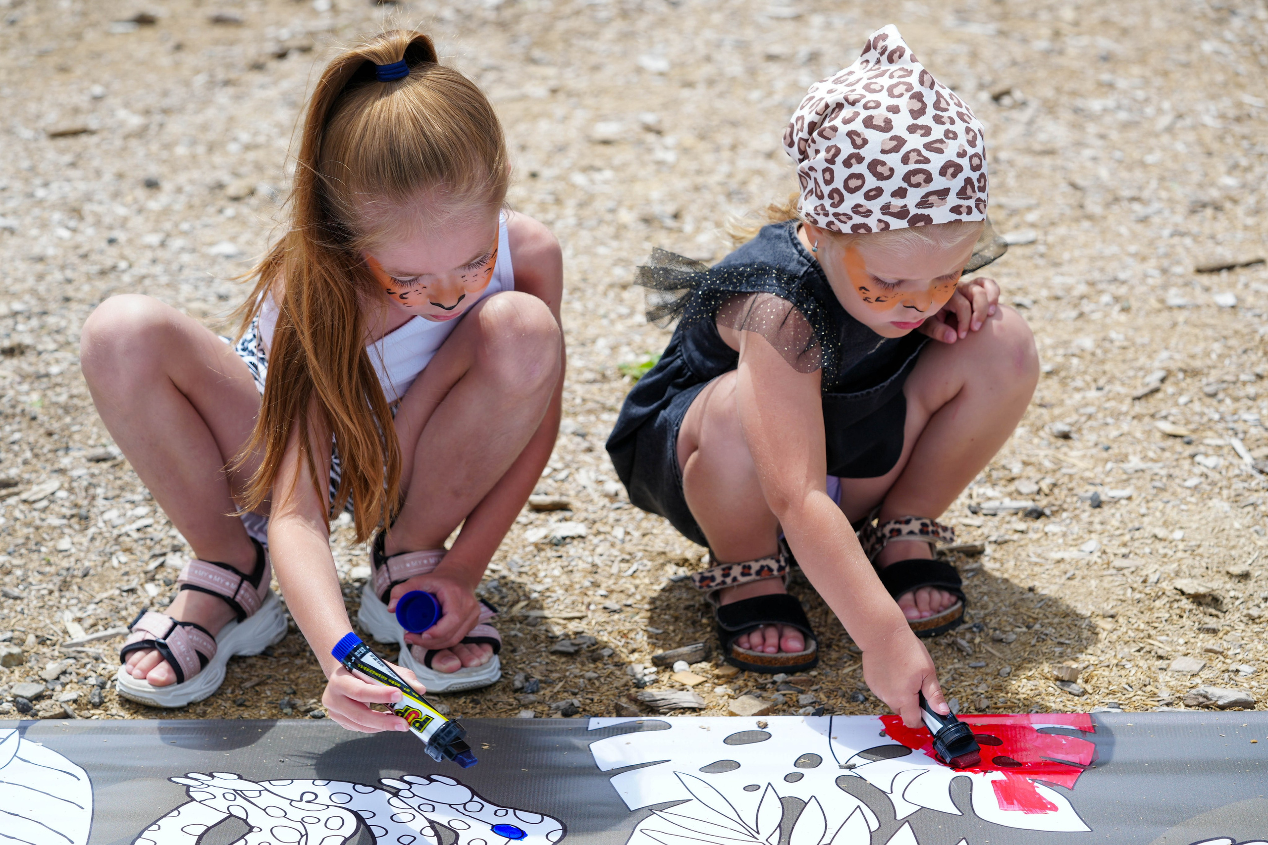 День леопарда на курорте Газпром Поляна. Репортажный фотограф в Красной Поляне и Сочи Павлюченко Екатерина