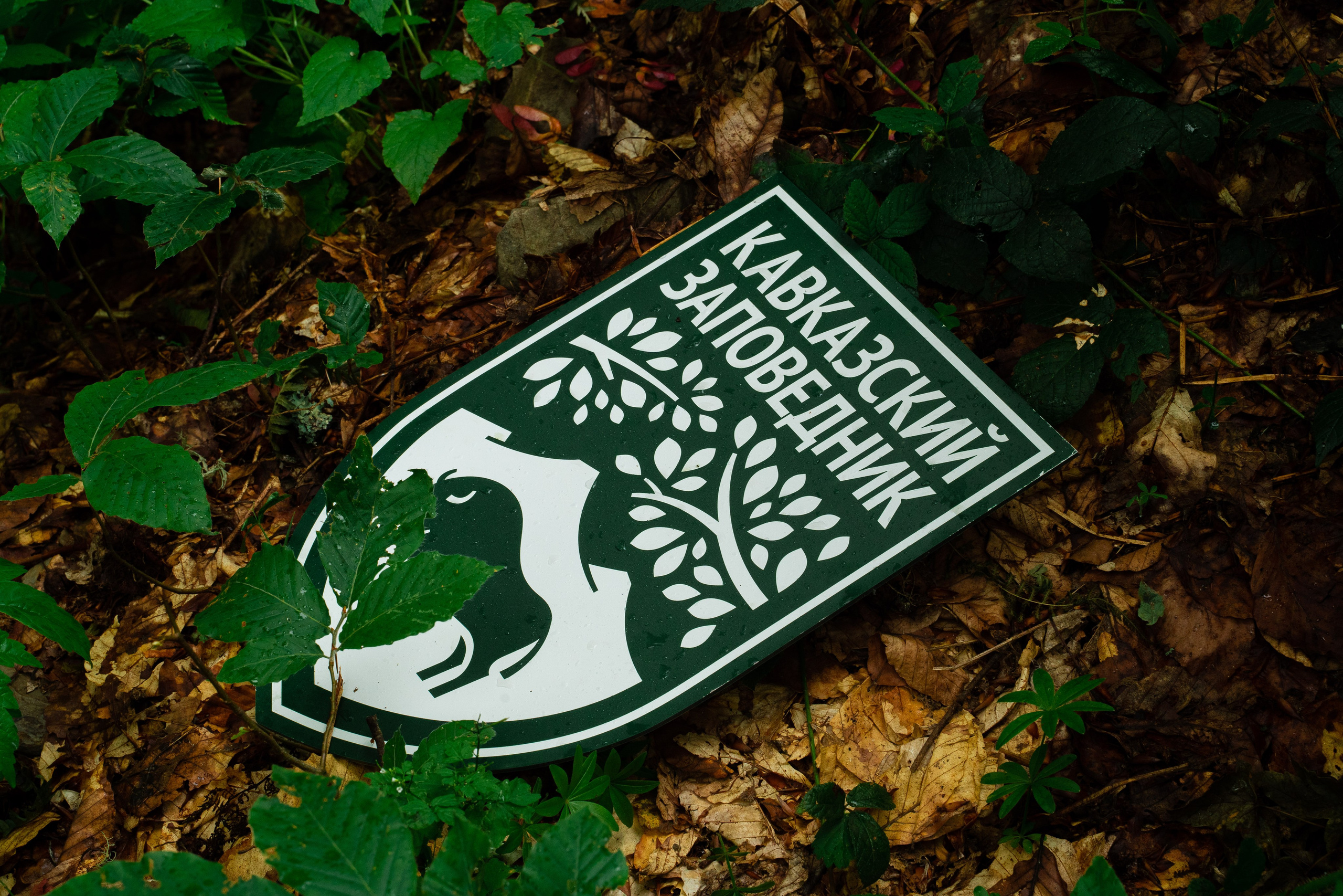 Психологический тренинг на озере Зеркальное. Репортажный фотограф в Красной Поляне и Сочи Павлюченко Екатерина