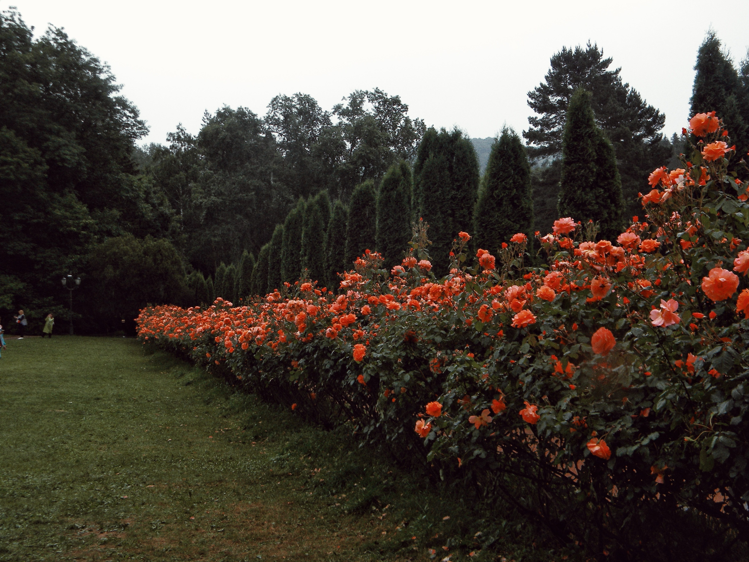 Пейзажи. By Анастасия Сигута