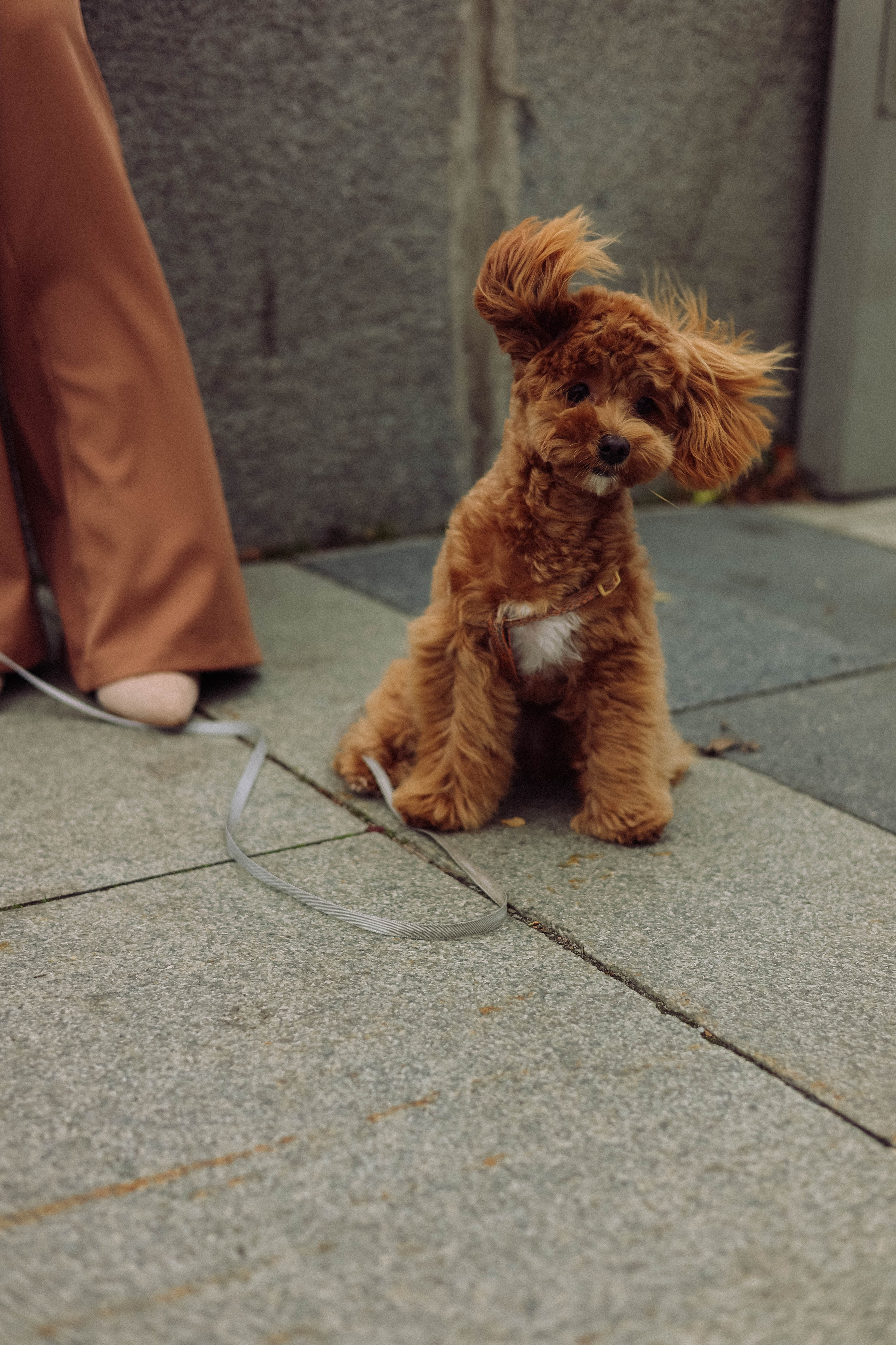 Кира. Фотограф в Москве Анастасия Калинина