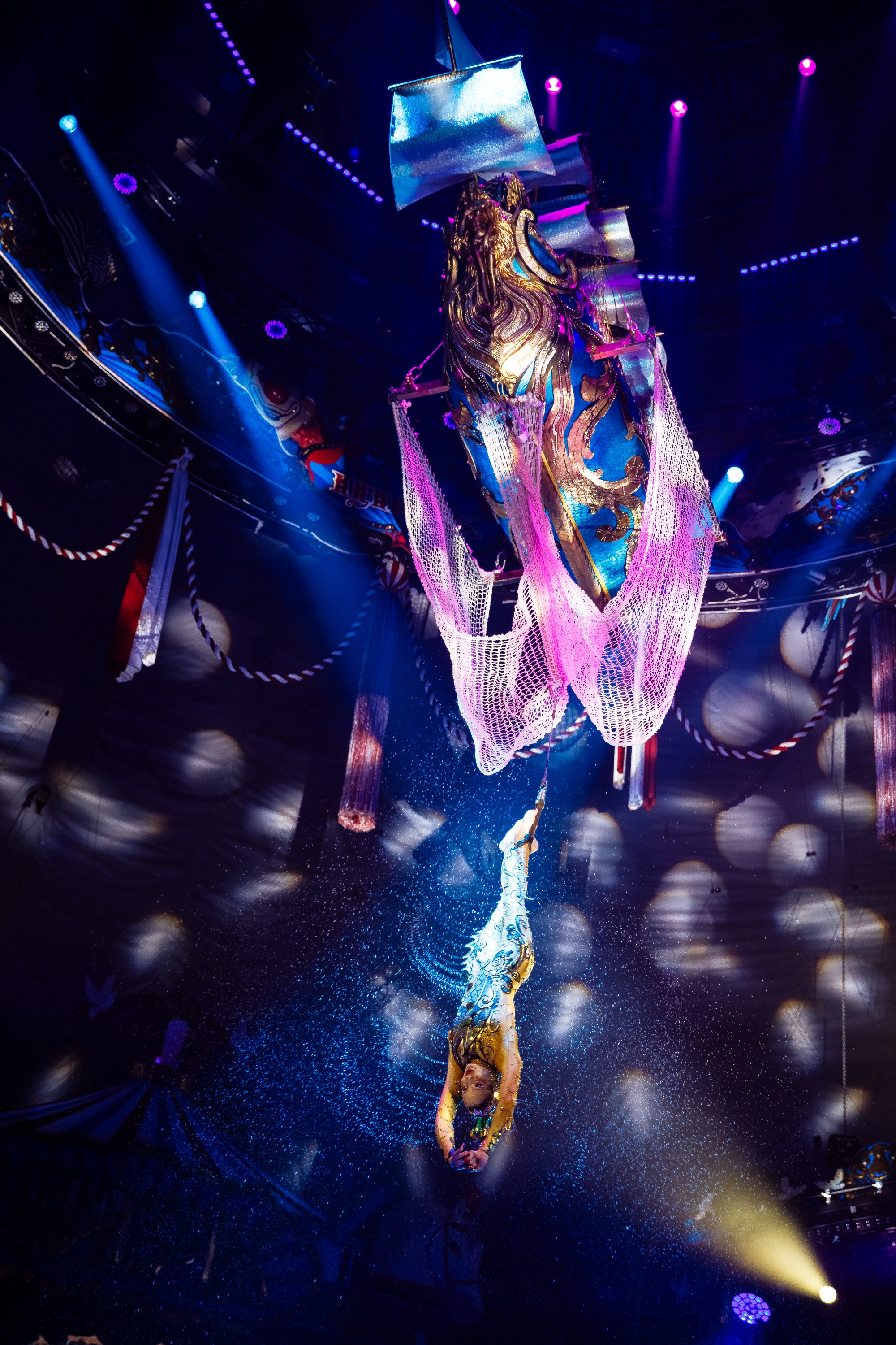 Сочинский росгорцирк Шоу Гии Эрадзе цирк. Профессиональный фотограф в Сочи Виктория Джой. Обучение