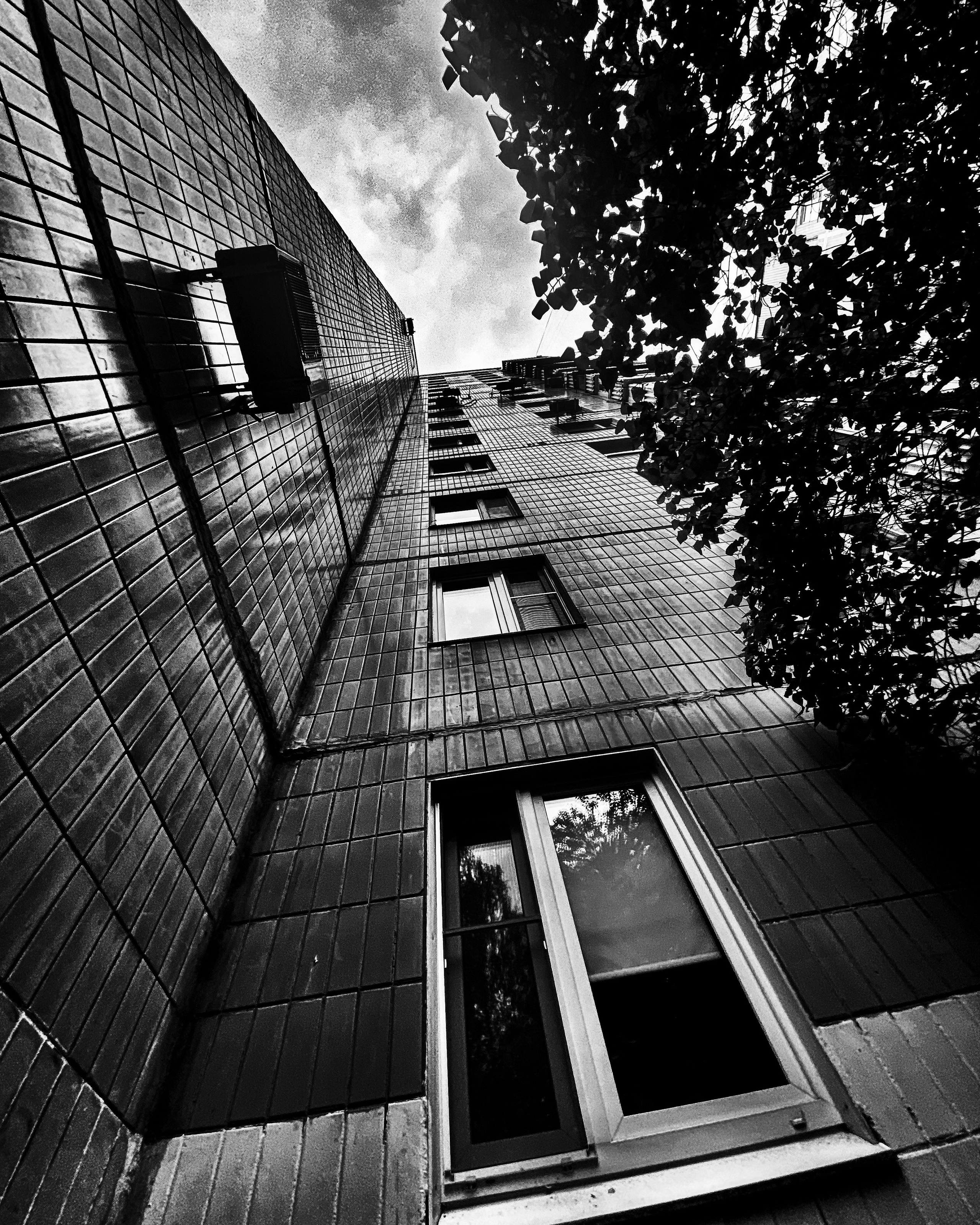 Работы с телефона. Свадебный фотограф в Москве Сафонова Анна