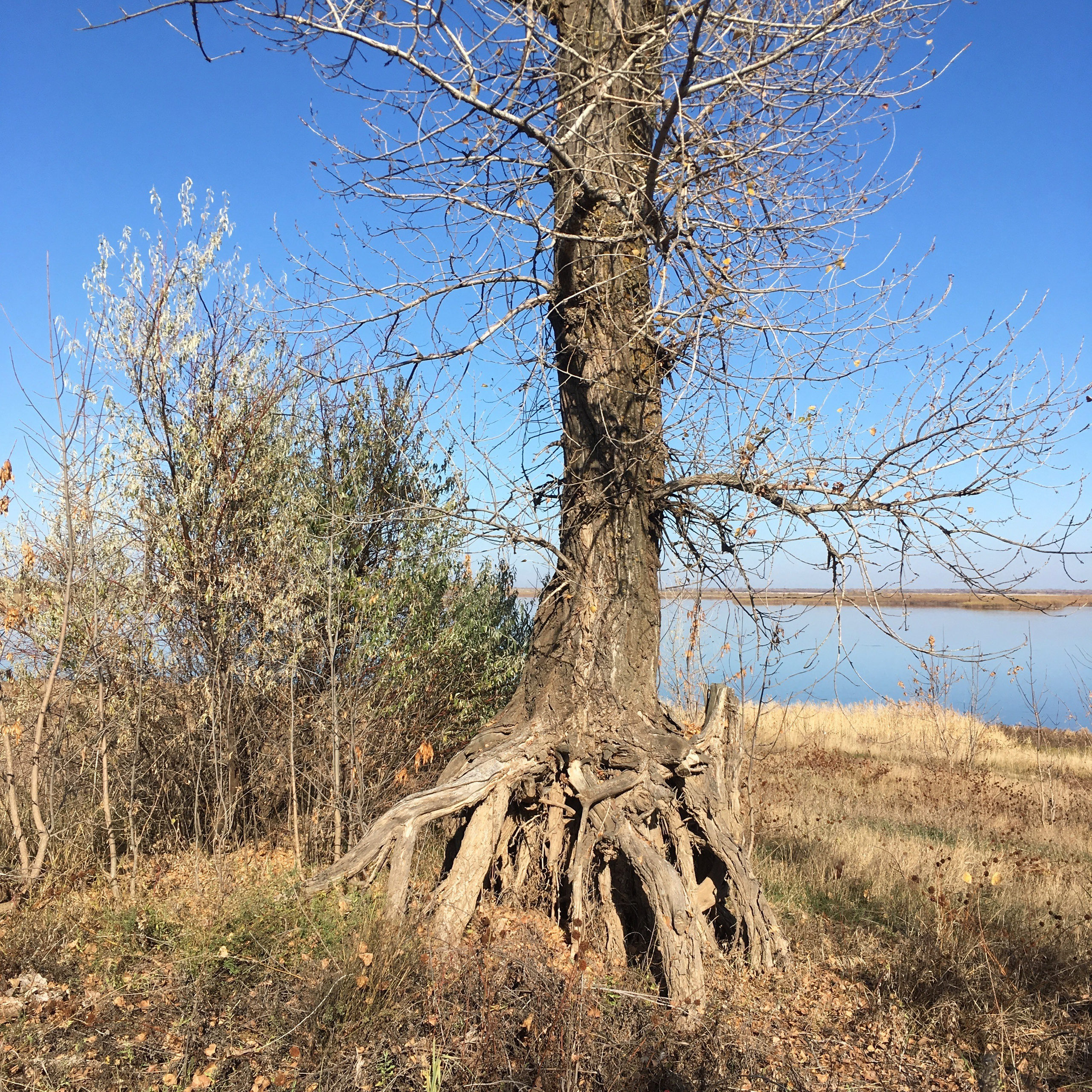Астрахань-19. Своя Мастерская