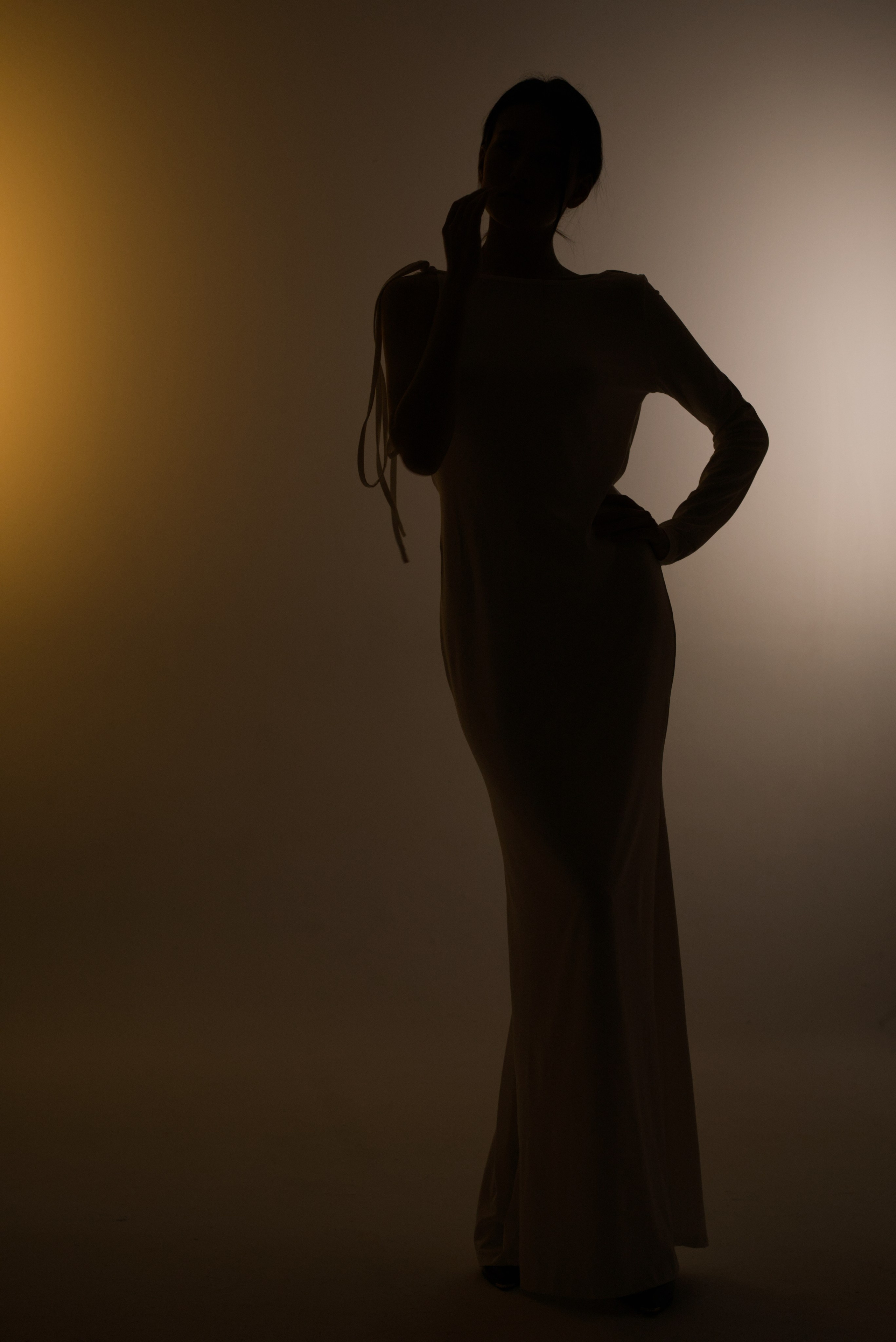 Силуэт цвет с постоянным светом. Мир глазами Саши Д