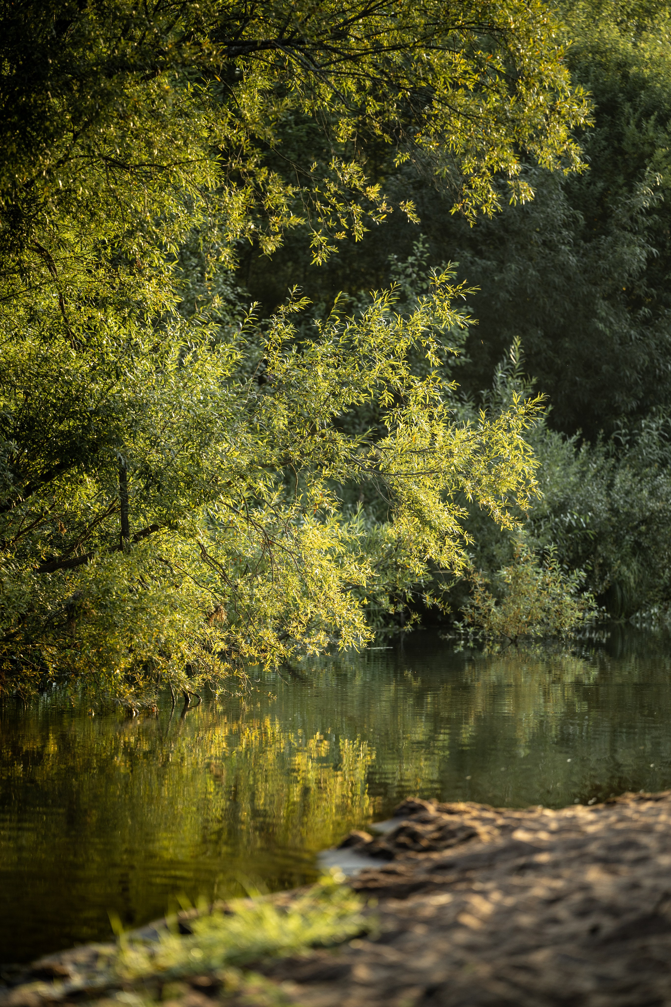 Природные пейзажи. Наталия Клевинскас портретный фотограф в Костроме