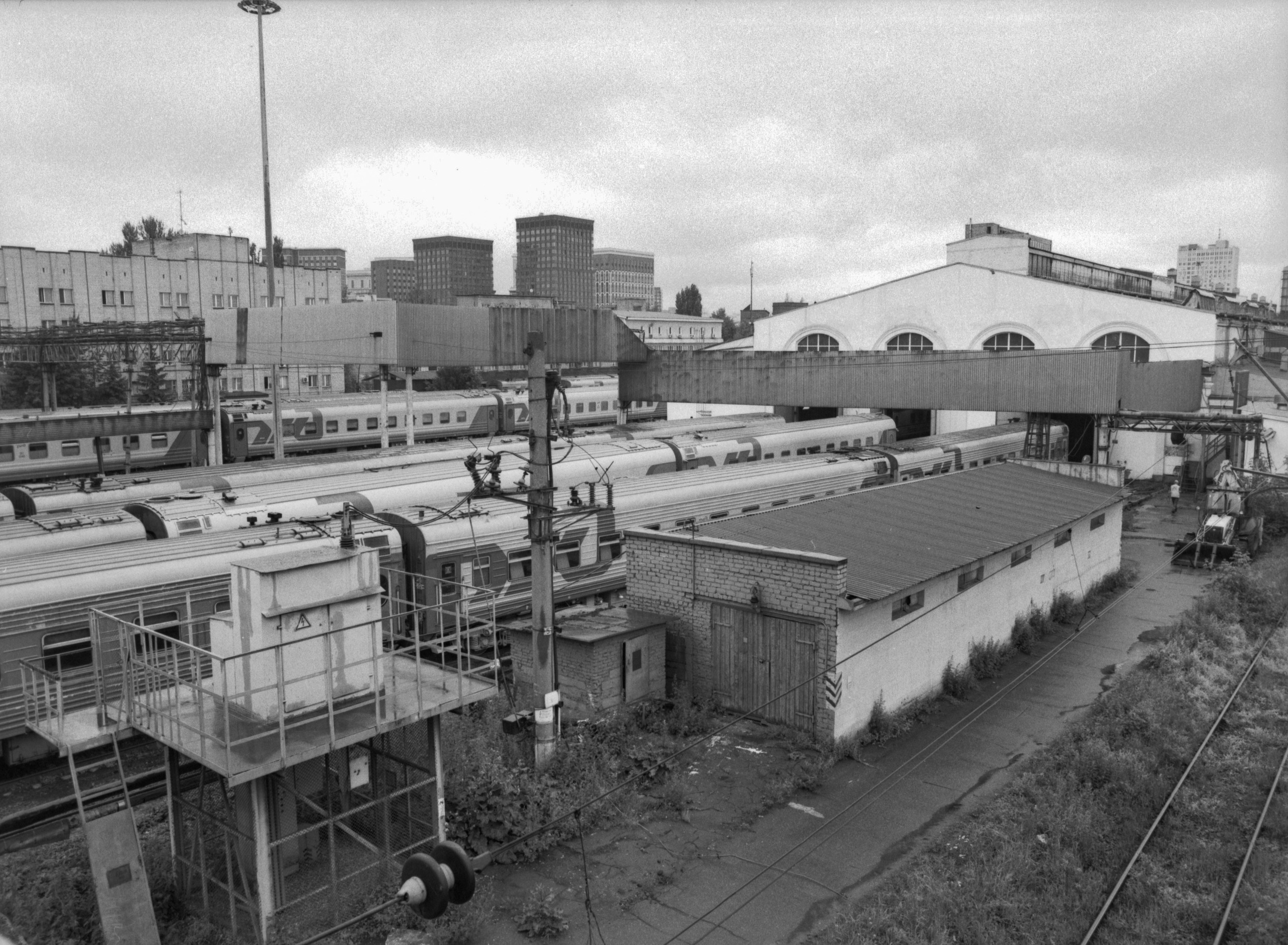 Prints. Maria Abdullaeva