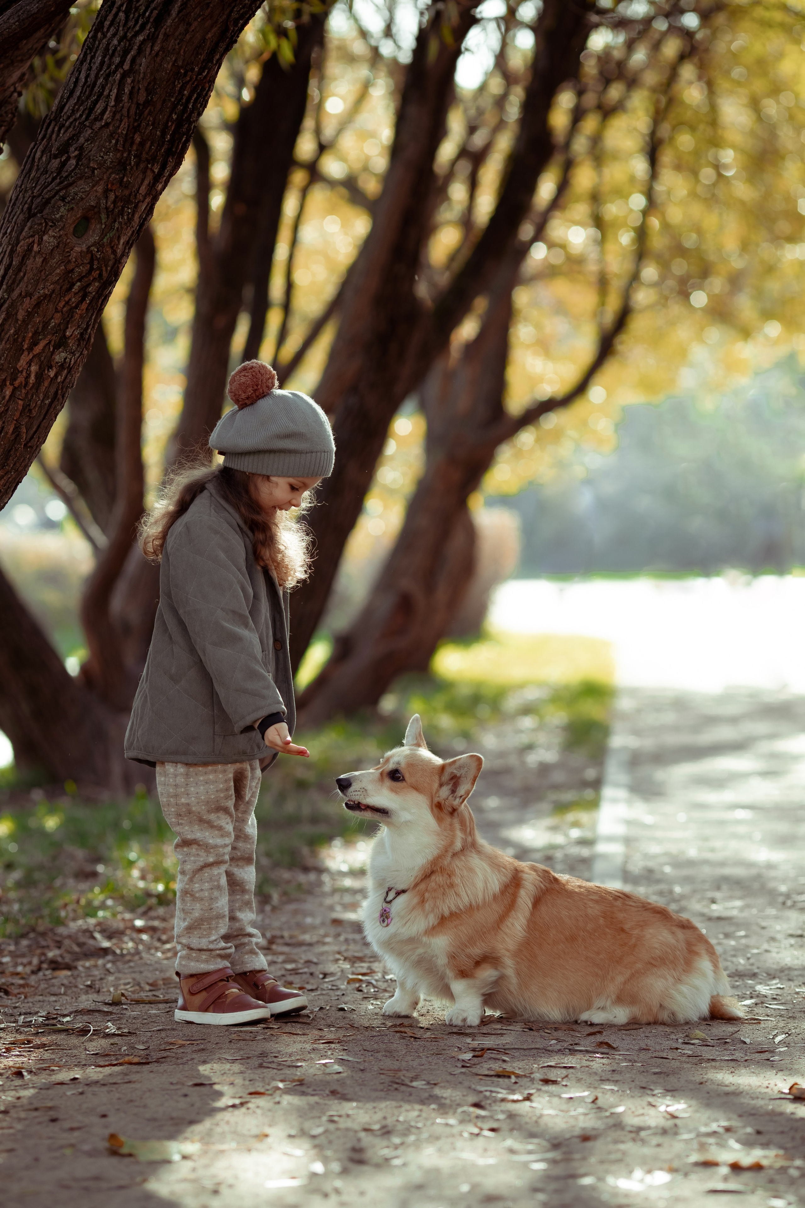 Эва с корги. Семейный и детский фотограф в Москве Дорогова Екатерина