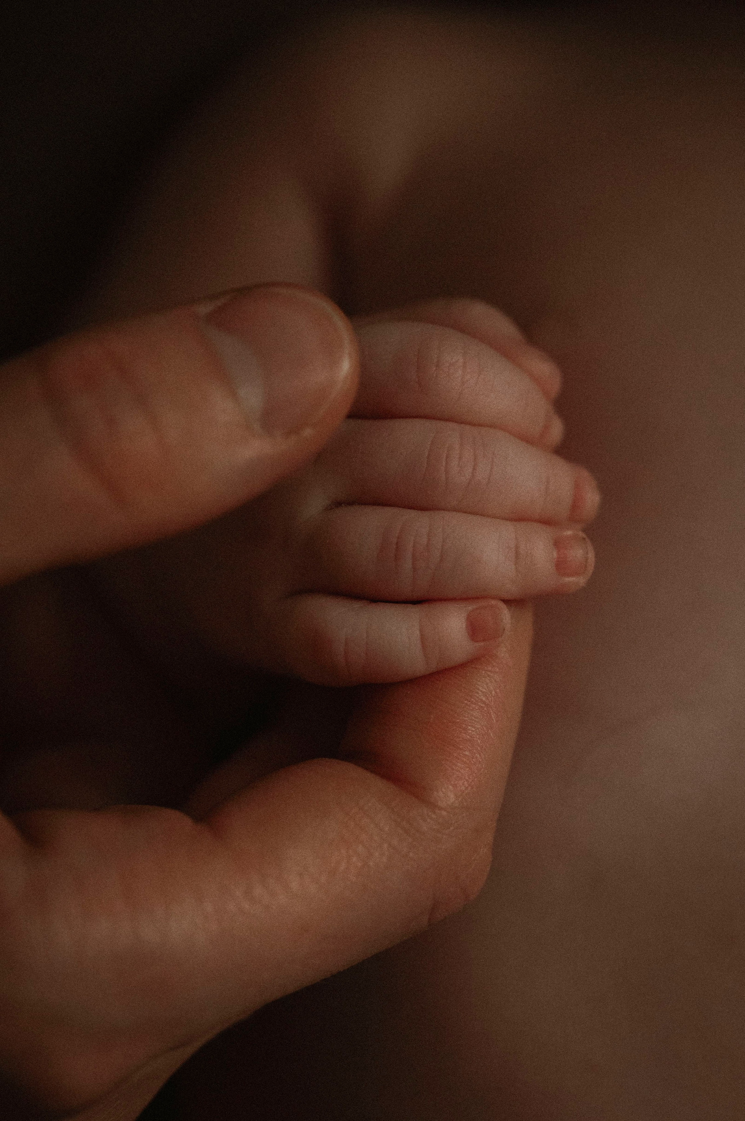 Профессиональный фотограф беременности в СПБ. Стильные фотосессии беременности в стиле минимализм и классическая фотография