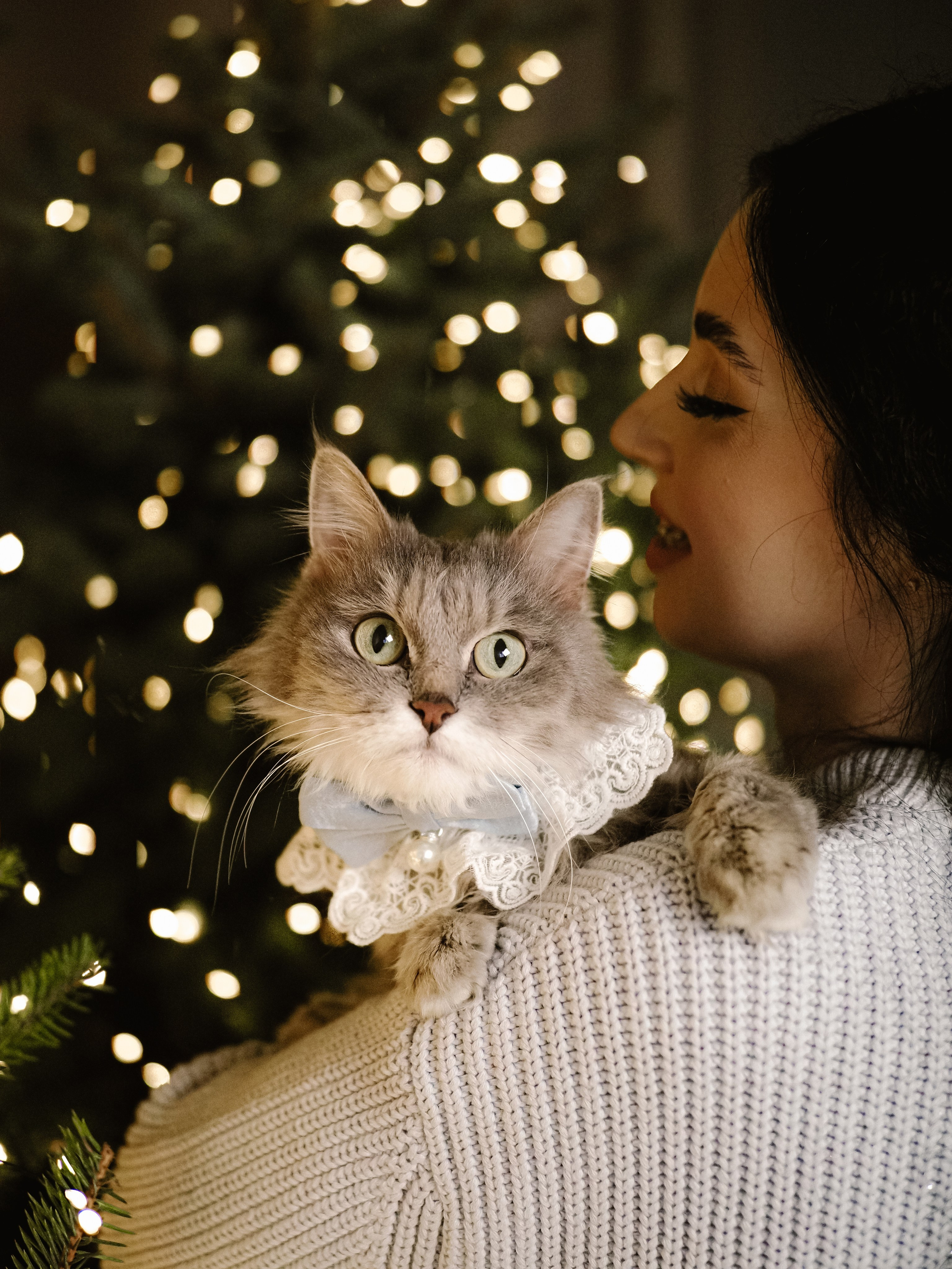 Mrrrr christmas. Фотограф Рязань. Семейный Свадебный фотограф