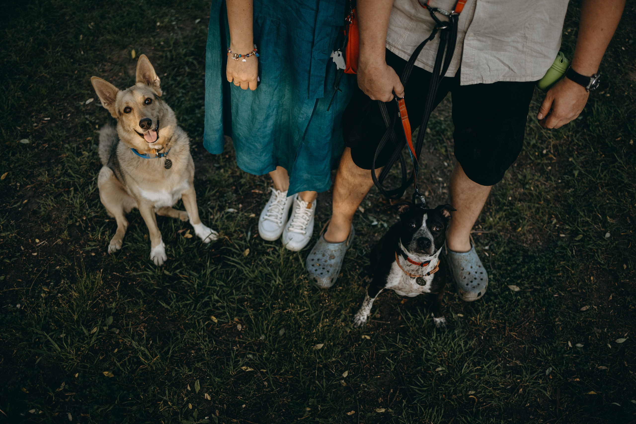 Татьяна, Сергей и их Булочка и Пончик. Фотограф — Анималист | Санкт-Петербург