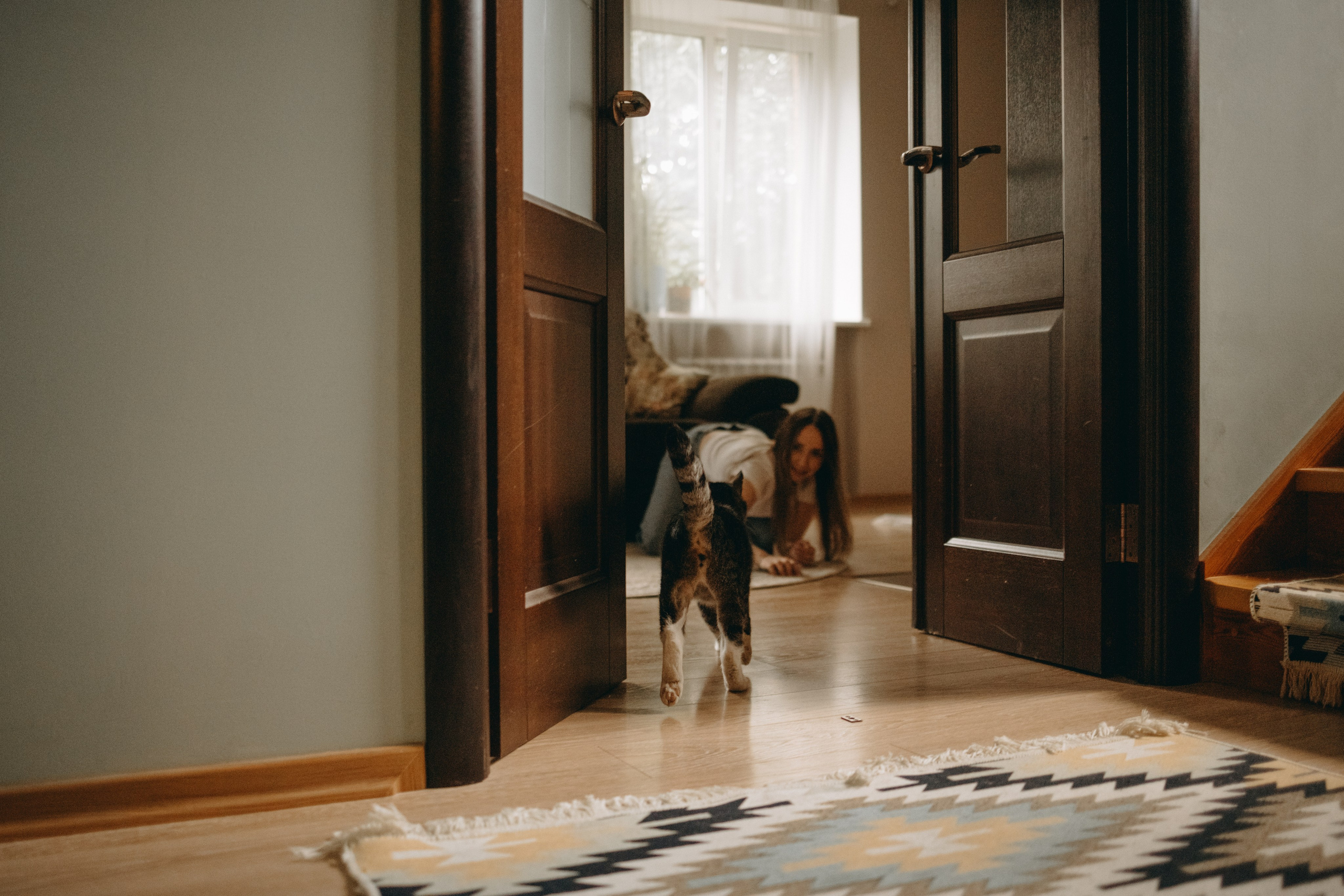 Софа и ее хвостики. Фотограф — Анималист | Санкт-Петербург