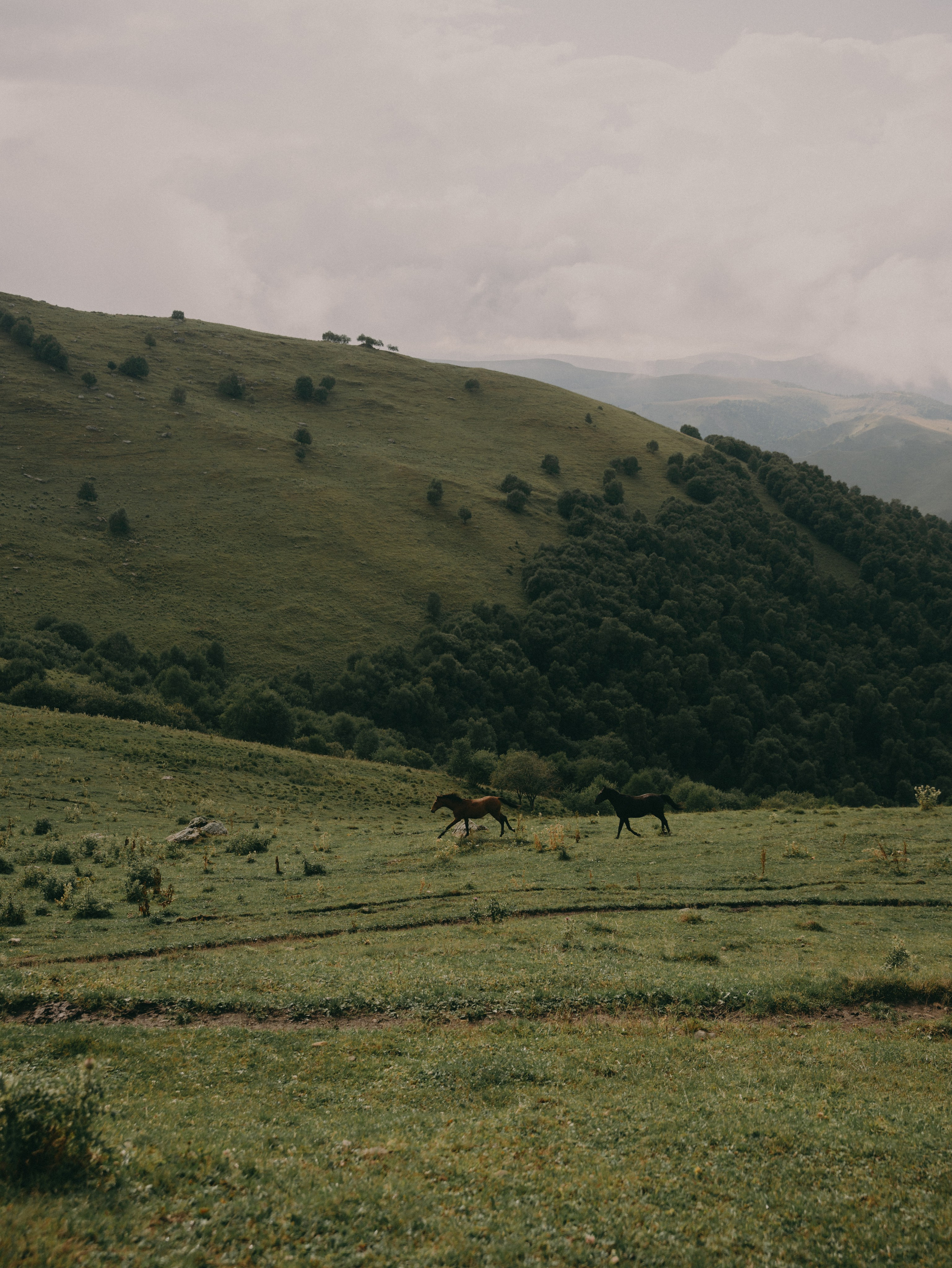 К&В. Свадебный фотограф Ирина Беляева Пятигорск|Кисловодск|Эльбрус|Домбай