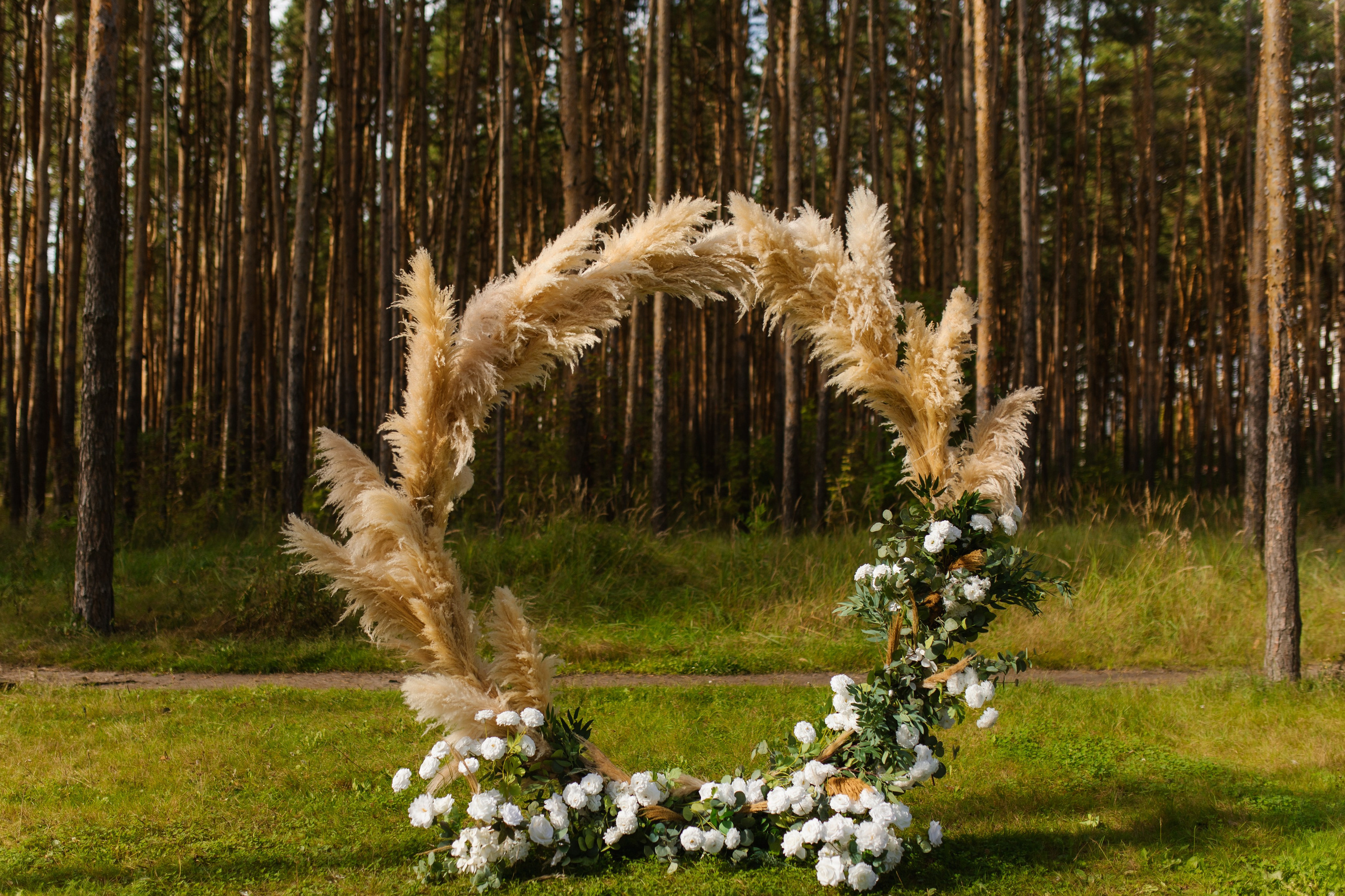 Павел и Ольга 06.09.25. Индивидуальный, семейный и свадебный фотограф
