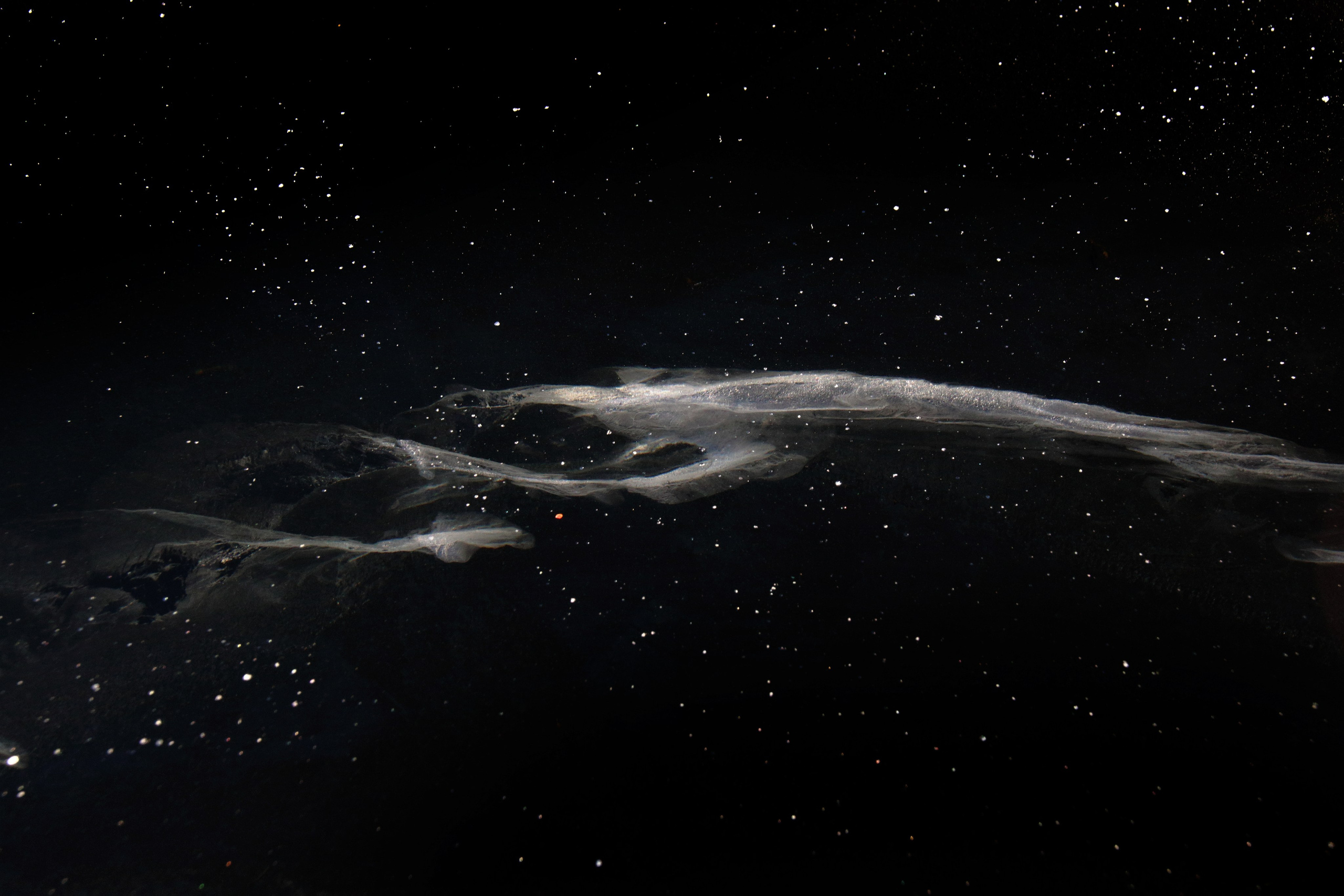 2016— Гран-при. Фотообъединение Самарского областного отделения Союза журналистов России