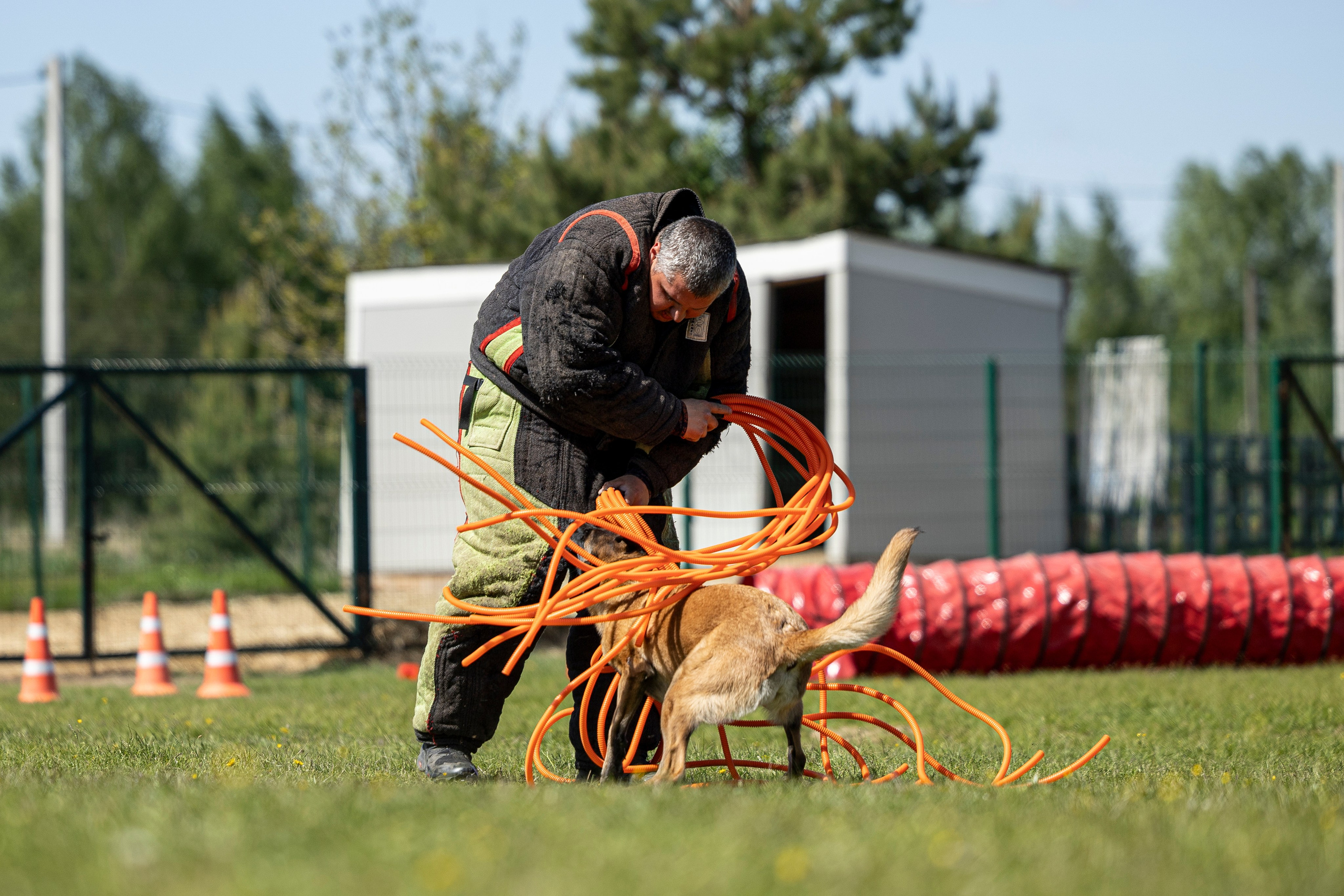Испытания по мондьорингу в Нижнем Новгороде. Фотограф-анималист Анна Маринич