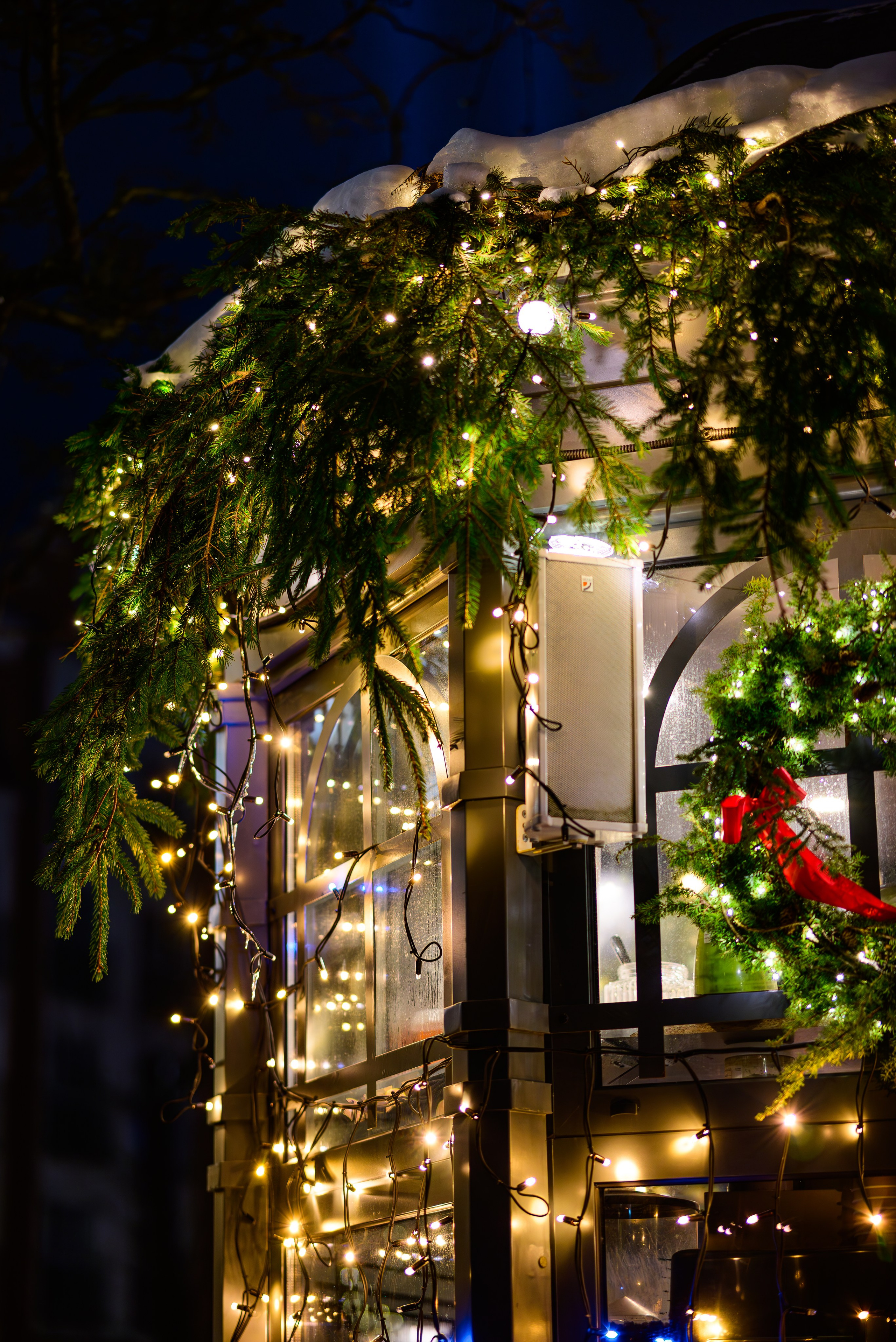 Зимняя Калининградская область. Фотосъемка и видеосъемка в Калининграде Liveemotion.pro