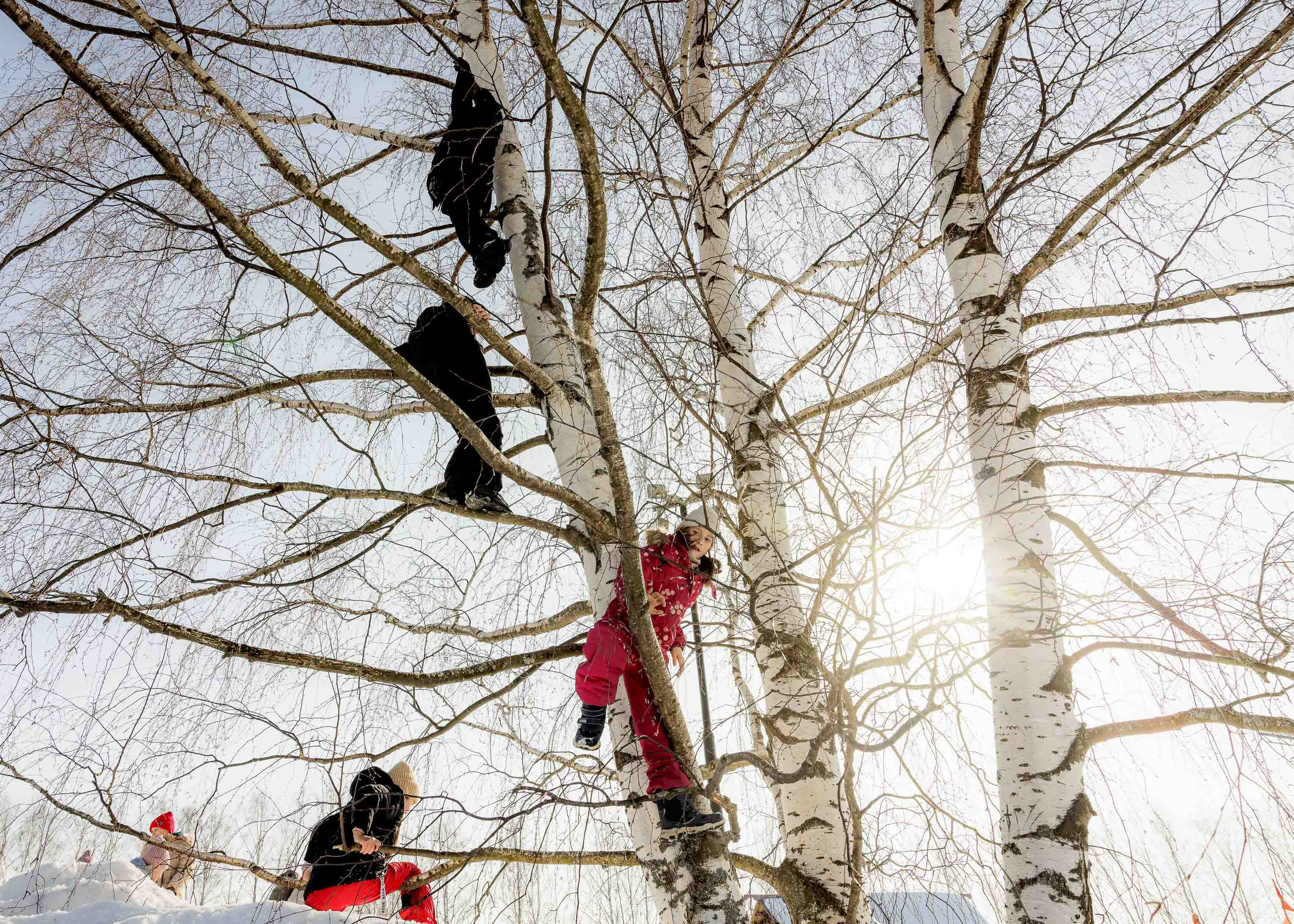 Масленица в Суздале - 2024