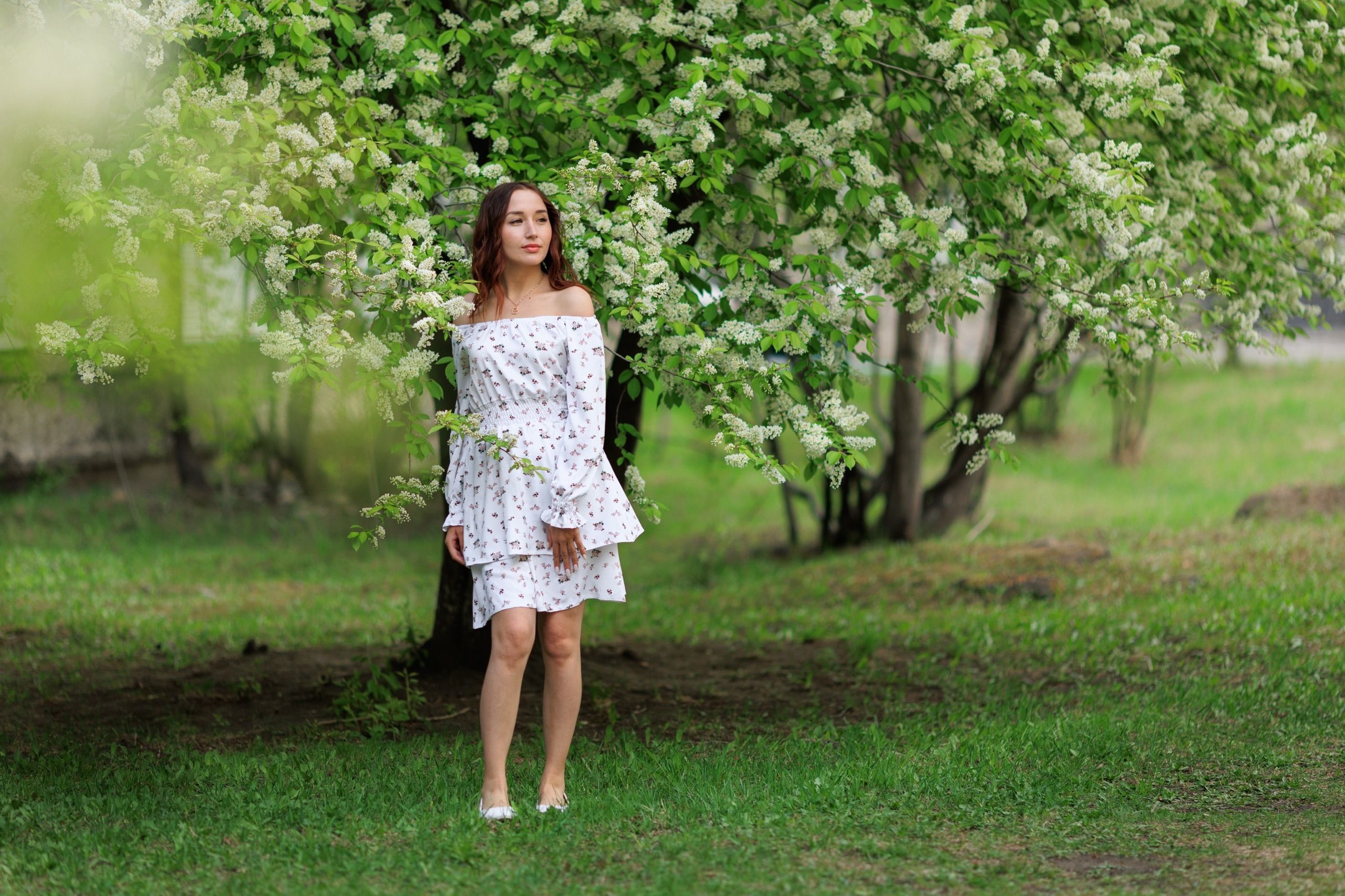 Цветение. Фотограф в Чите Анна Осадчая