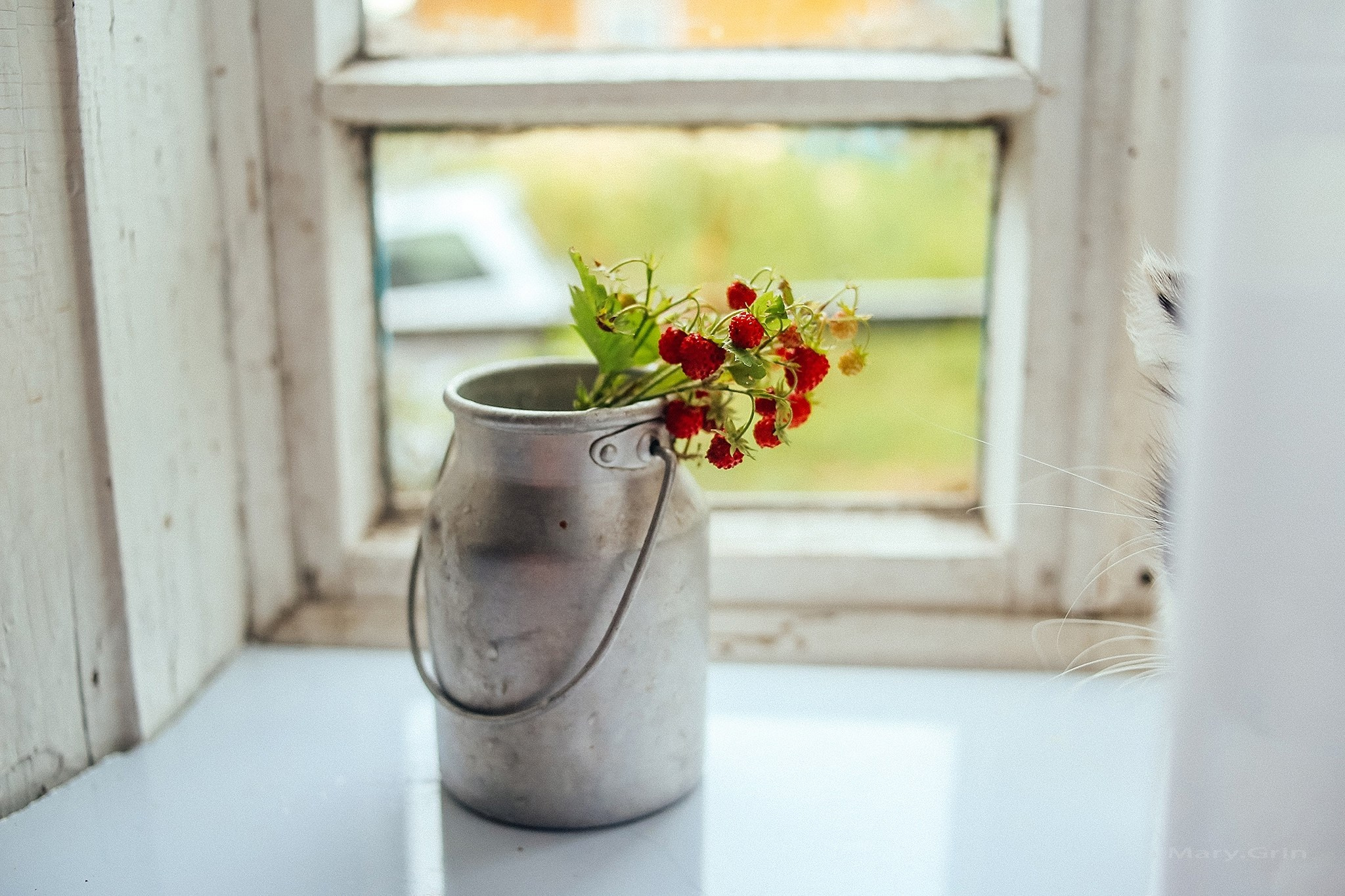 Русская деревня. Детский и семейный фотограф, фотограф мероприятий Нижний Новгород