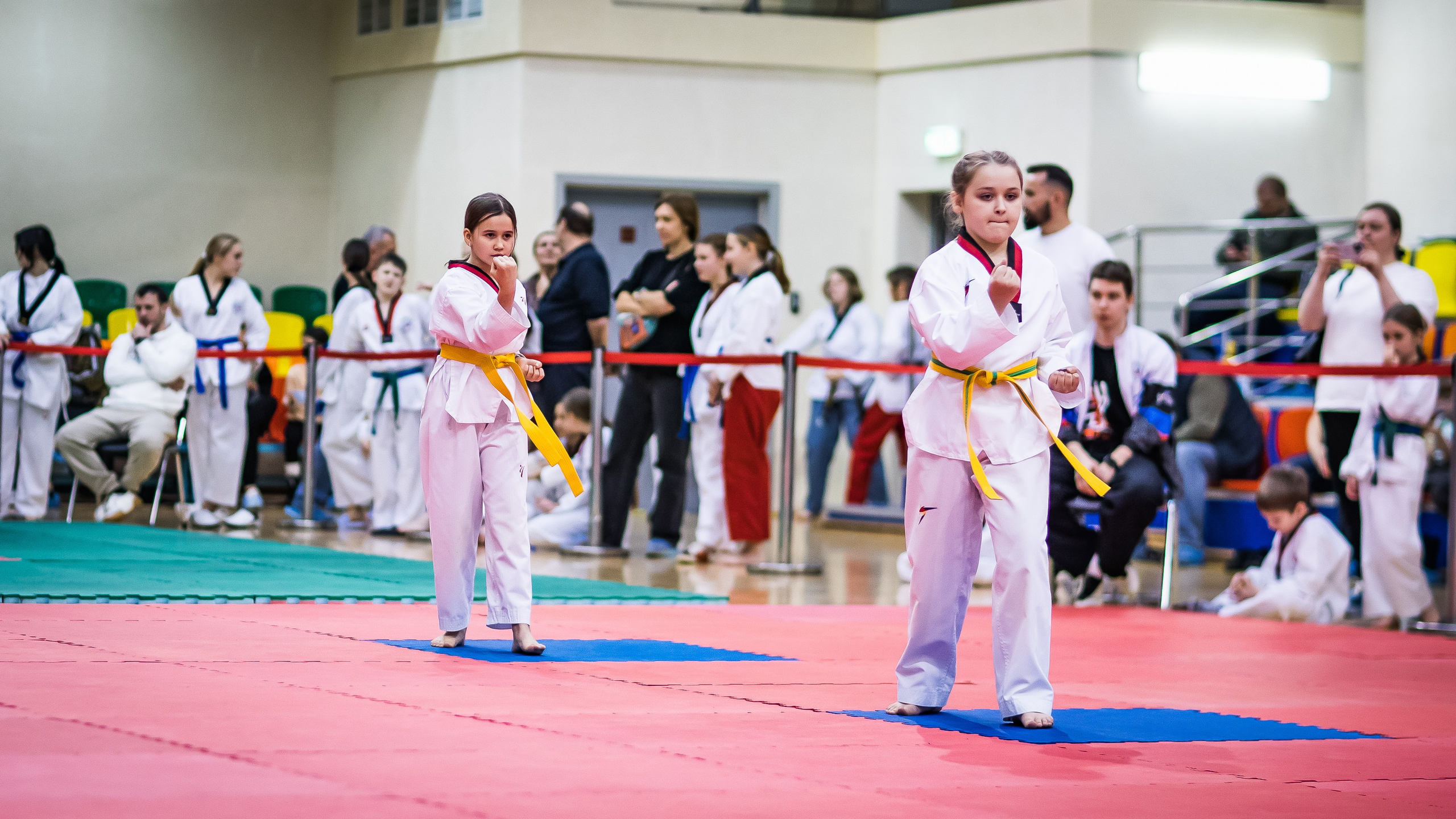 Турнир Федерации детского тхэквондо России по дисциплине ПХУМСЭ. Спортивный фотограф Максим Серегин