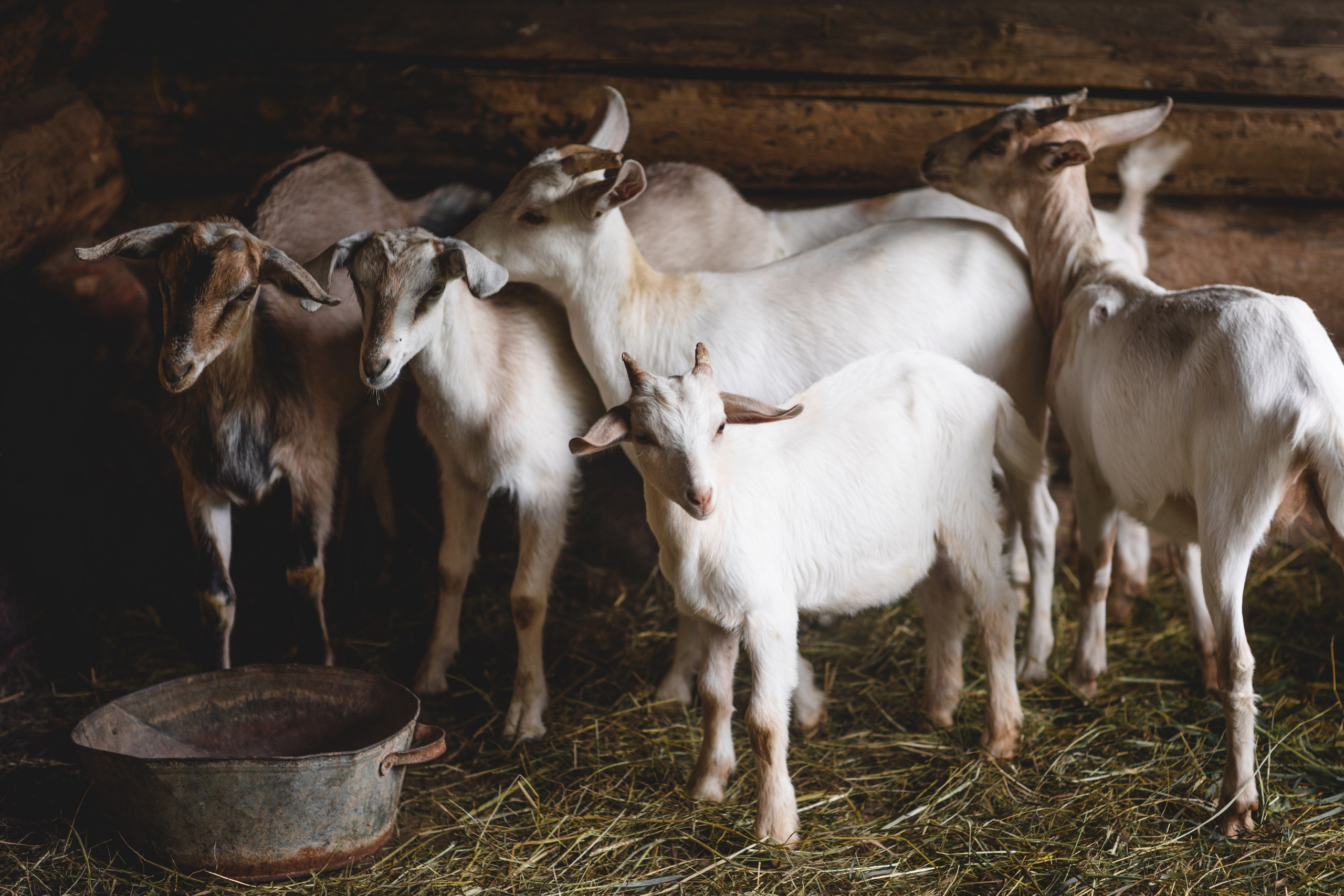 Фототуур «Край озёр» Лето. Семейный фотограф в Москве Анастасия Гурьянова