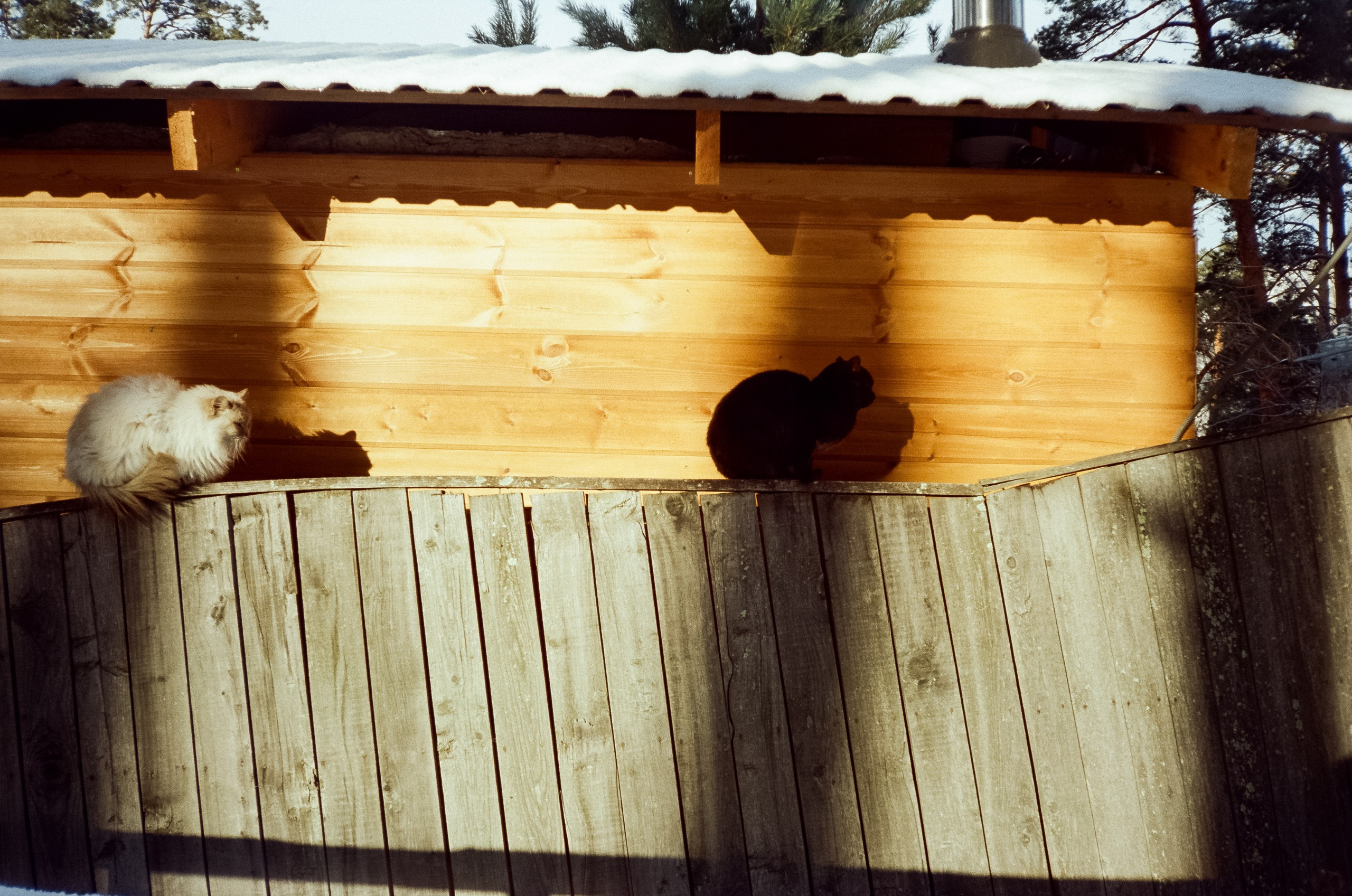 Зубы Дракона и остров Патмос. Фотограф-документалист Мария Осокина