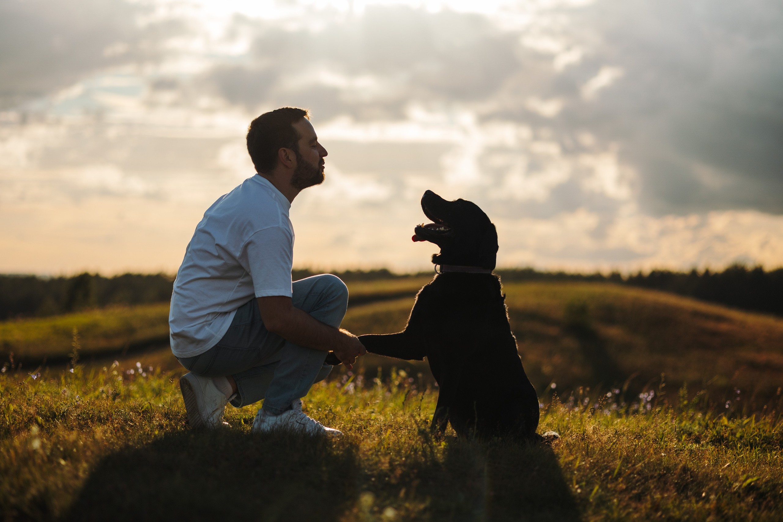 Бомбей и его семья. Фотограф — Анималист | Санкт-Петербург