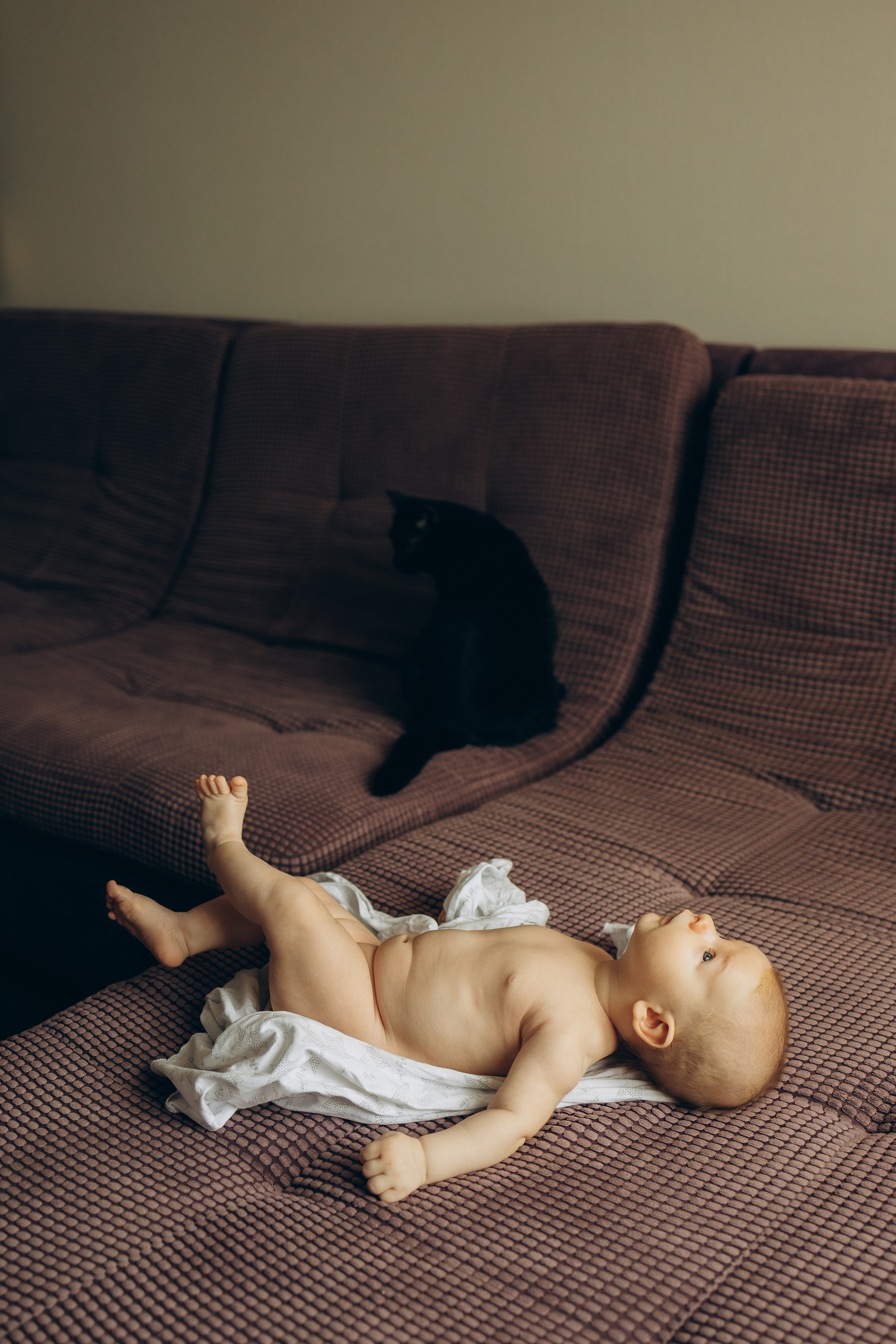 Семейные. Семейный фотограф Новосибирск Фотограф на выписку Новосибирск