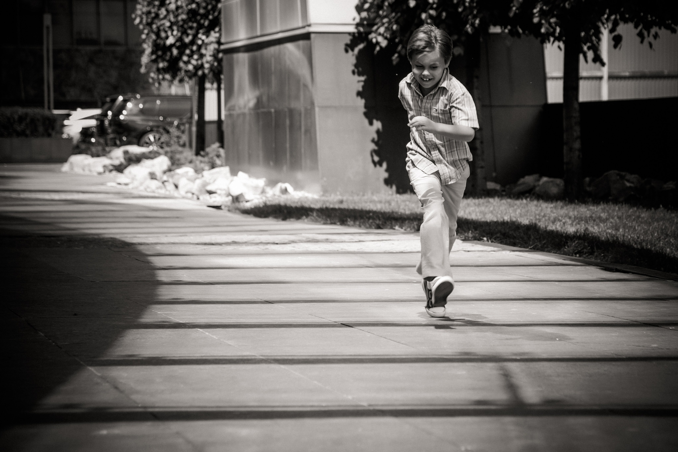 Лев. Свадебный и семейный фотограф в Москве и Подмосковье Лариса Козлова