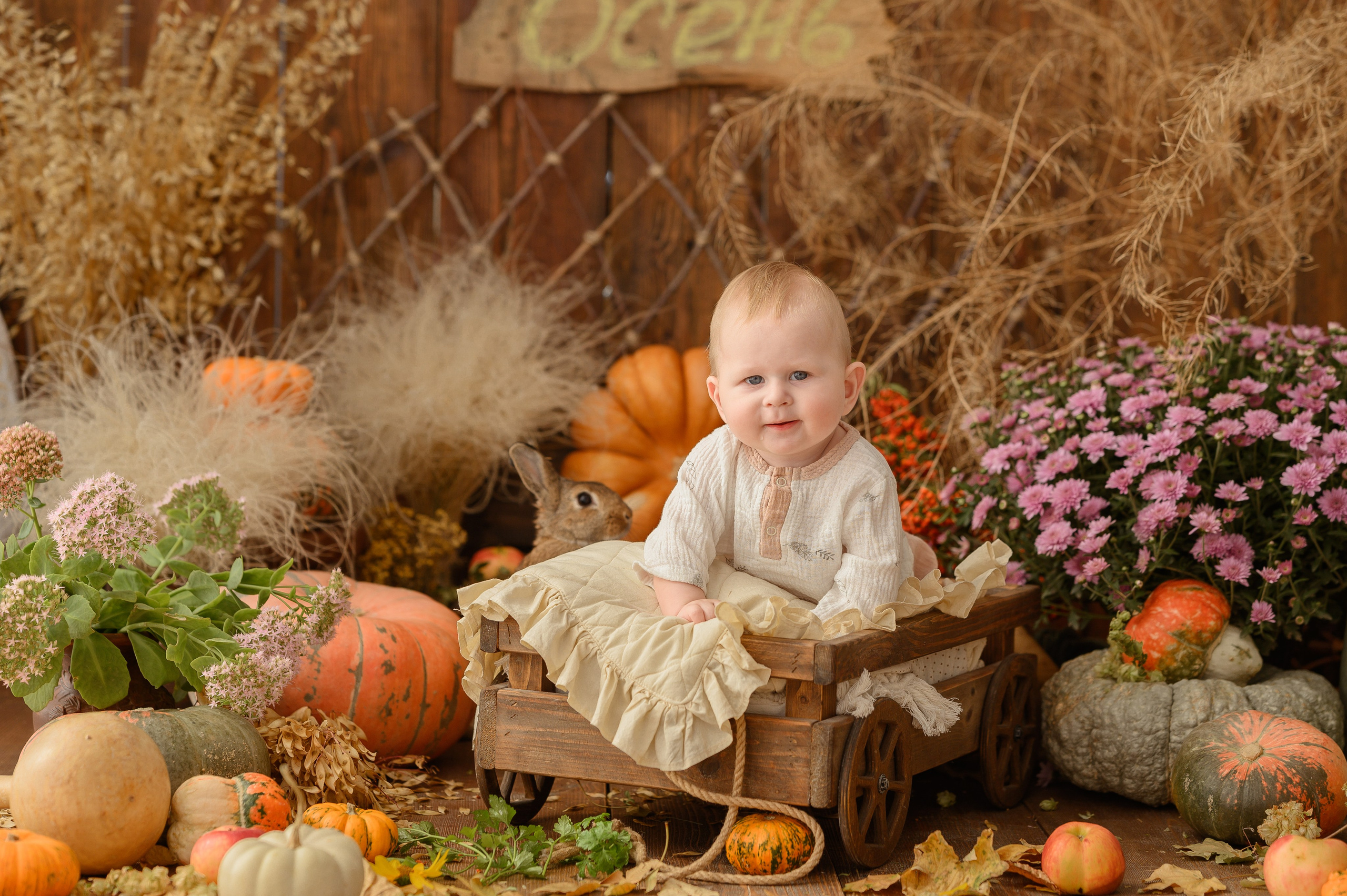 Дамирчик и кролик в тыквах. Детский и семейный фотограф Ирина Гладких