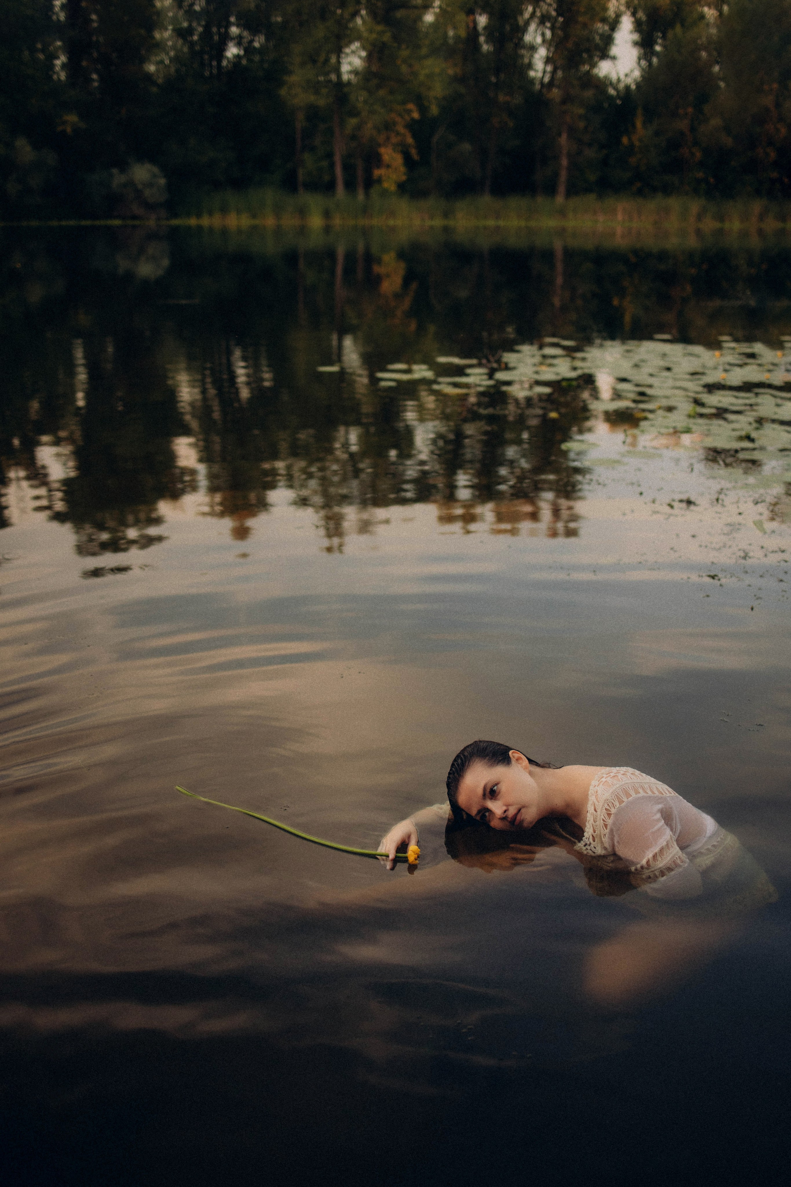 Кувшинки. Главная