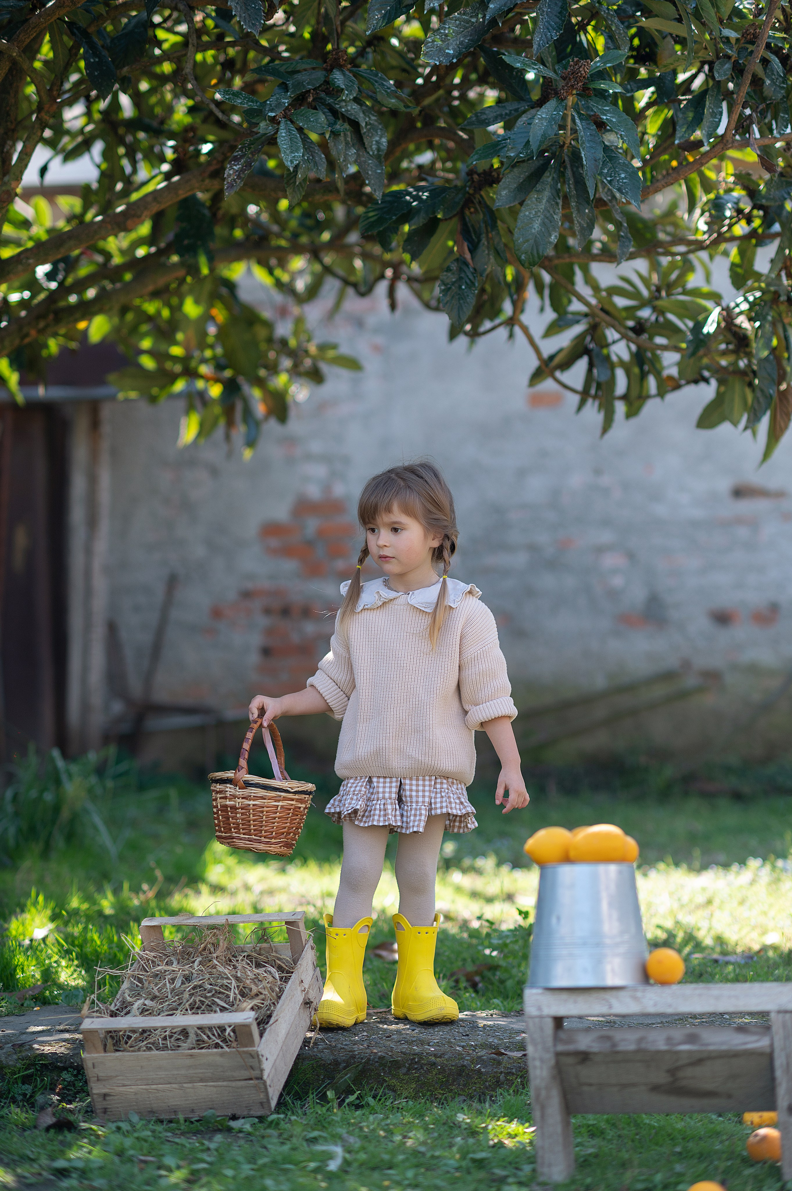 Курочки. Детский фотограф Абхазия