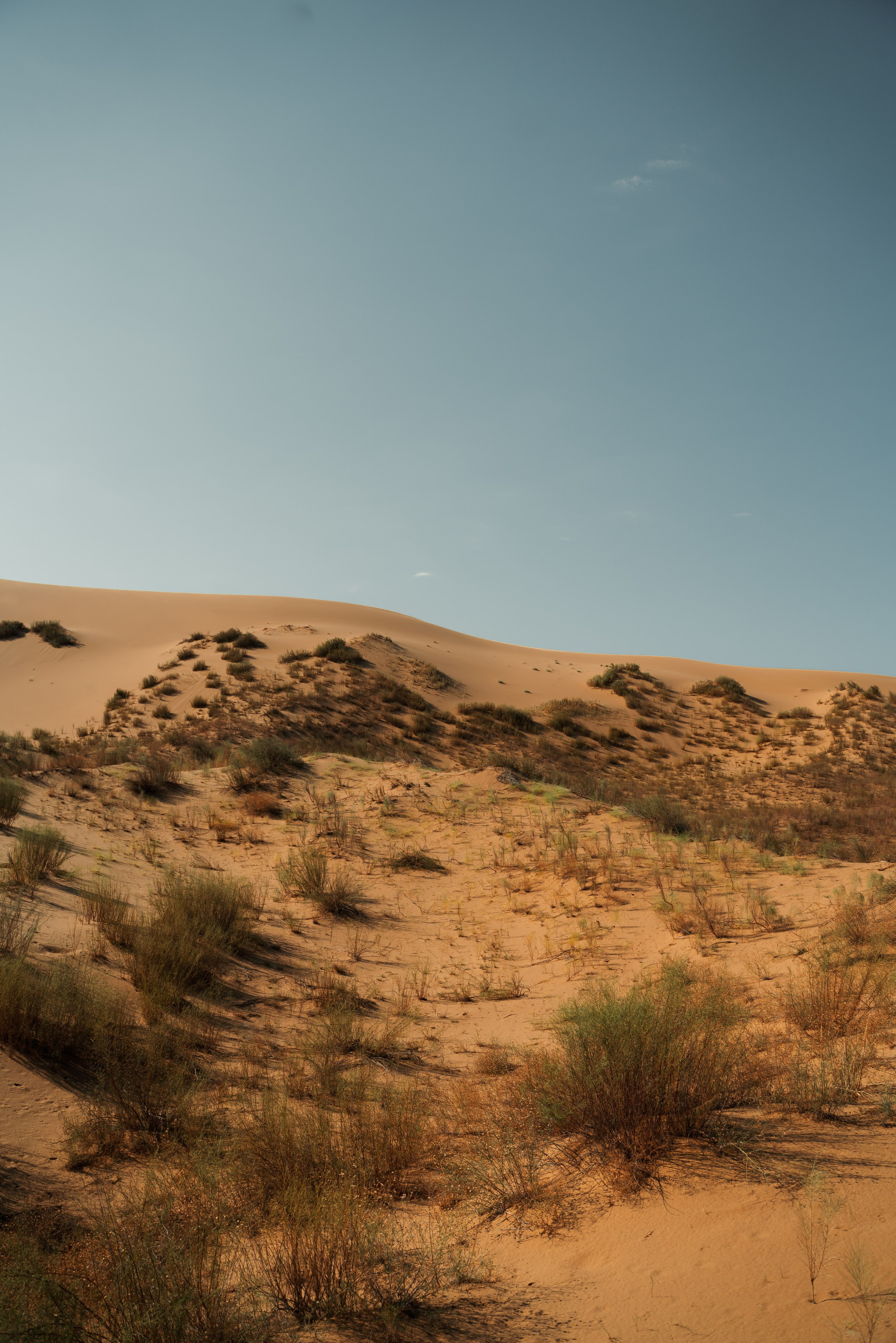 Пейзаж. Фотограф Кантемир Бараов
