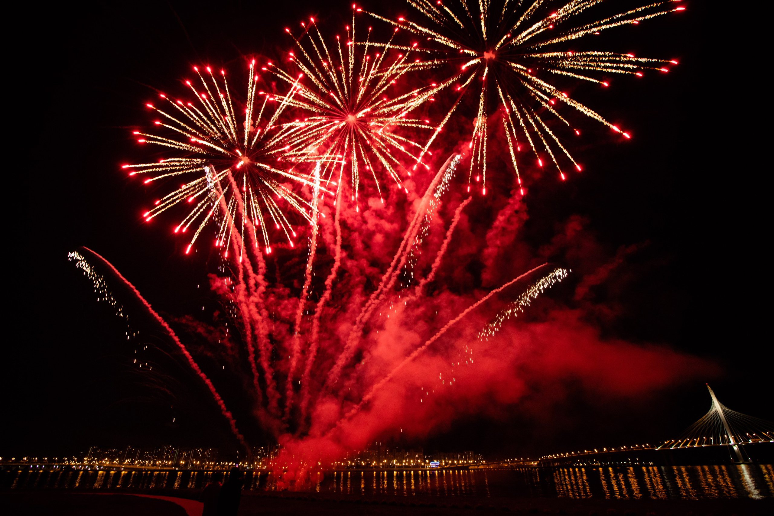 Корпоративы / Форумы. Репортажной, Свадебный, школьный