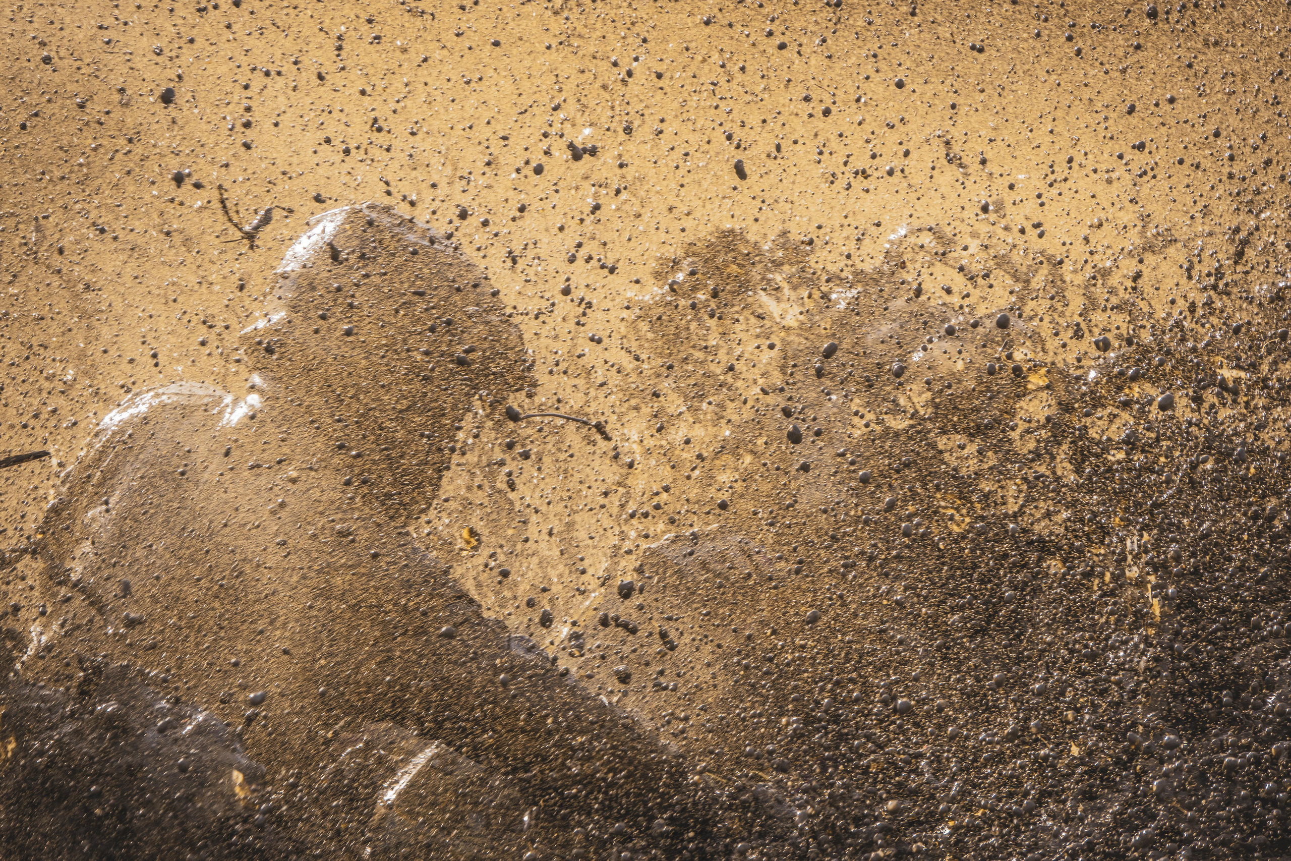 Мероприятия. Фотограф в Москве Сергей Коршунов