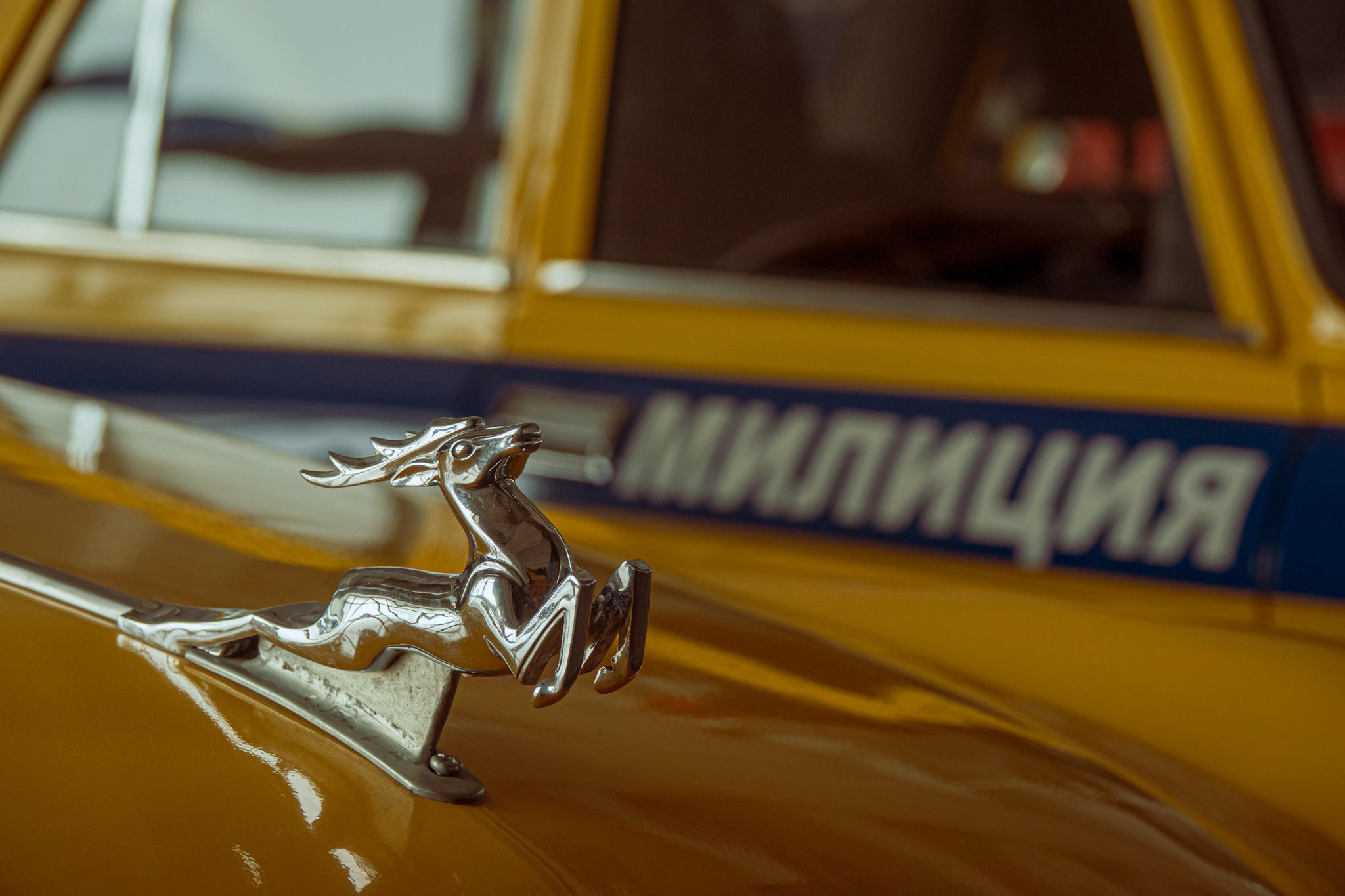 Мероприятия. Фотограф в Москве Сергей Коршунов