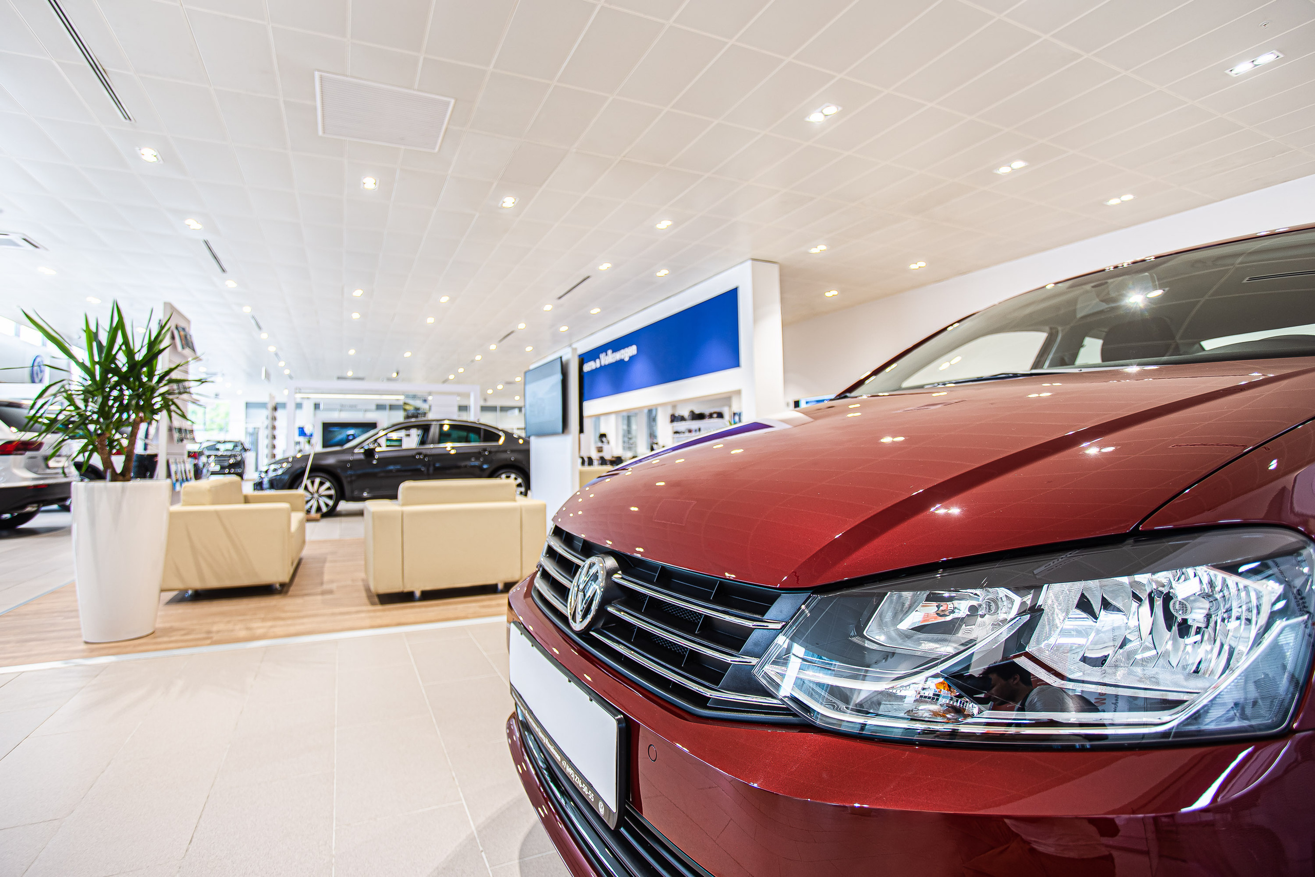 Салон VolksWagen. Видеограф Добромыслов