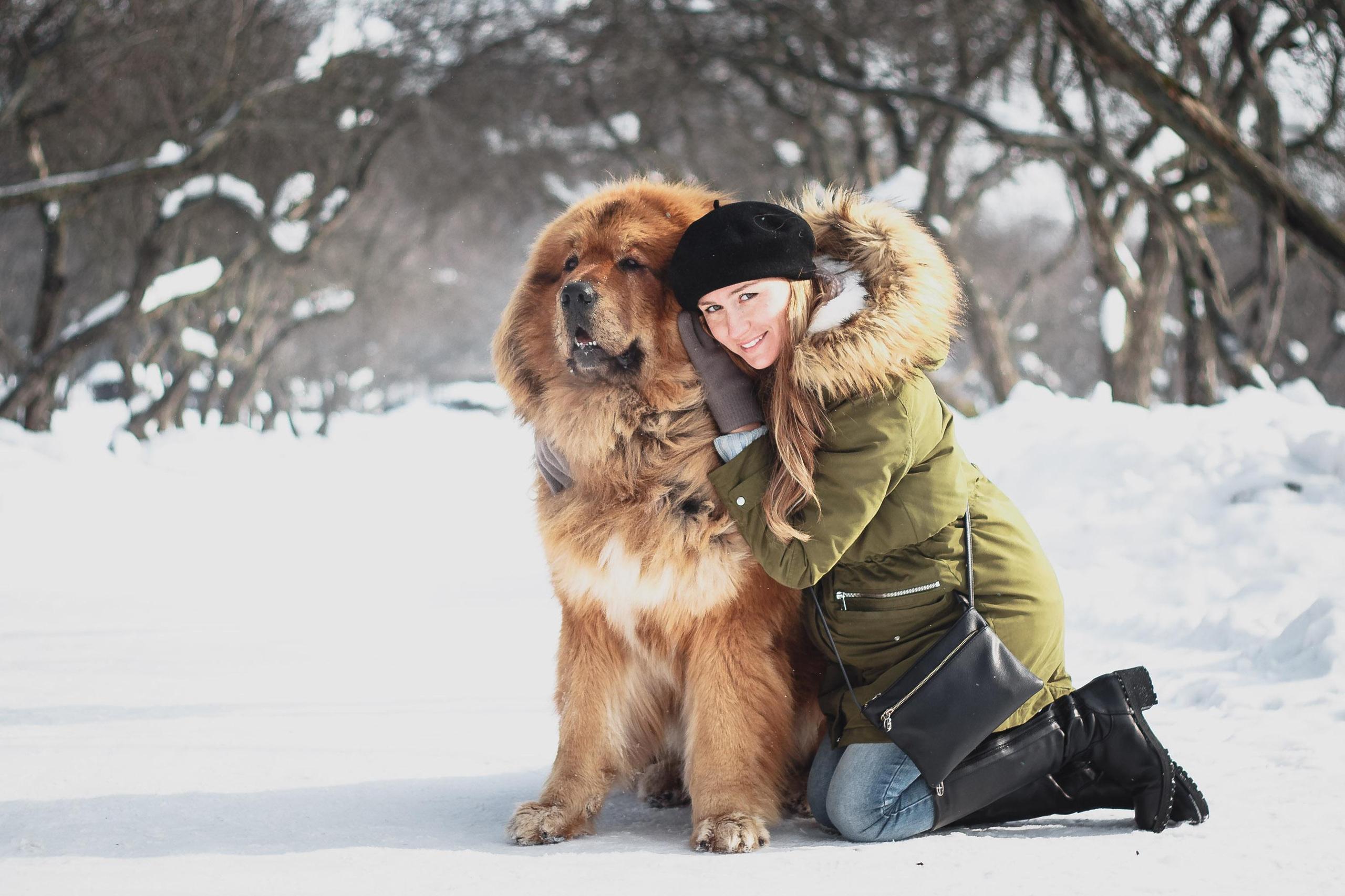 Уличные. Видеограф Добромыслов
