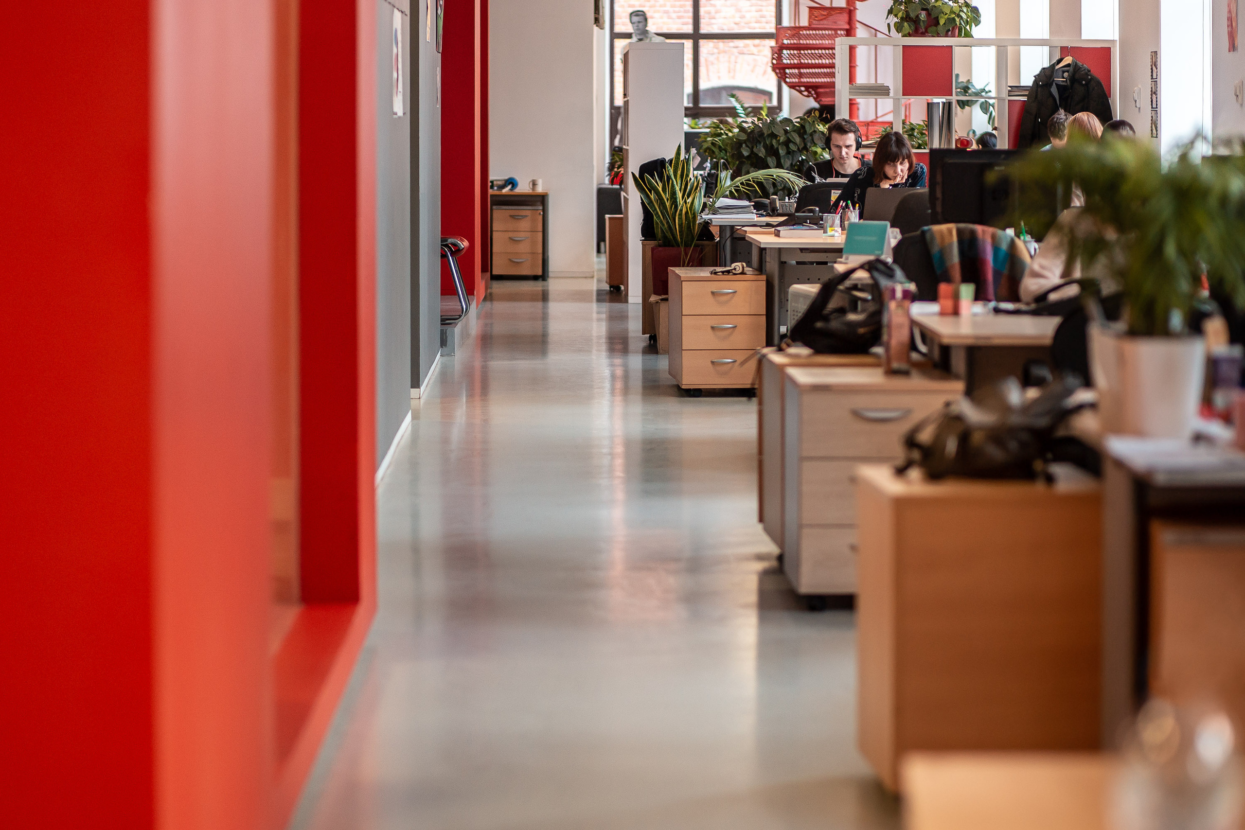 Креативное агентство. Видеограф Добромыслов