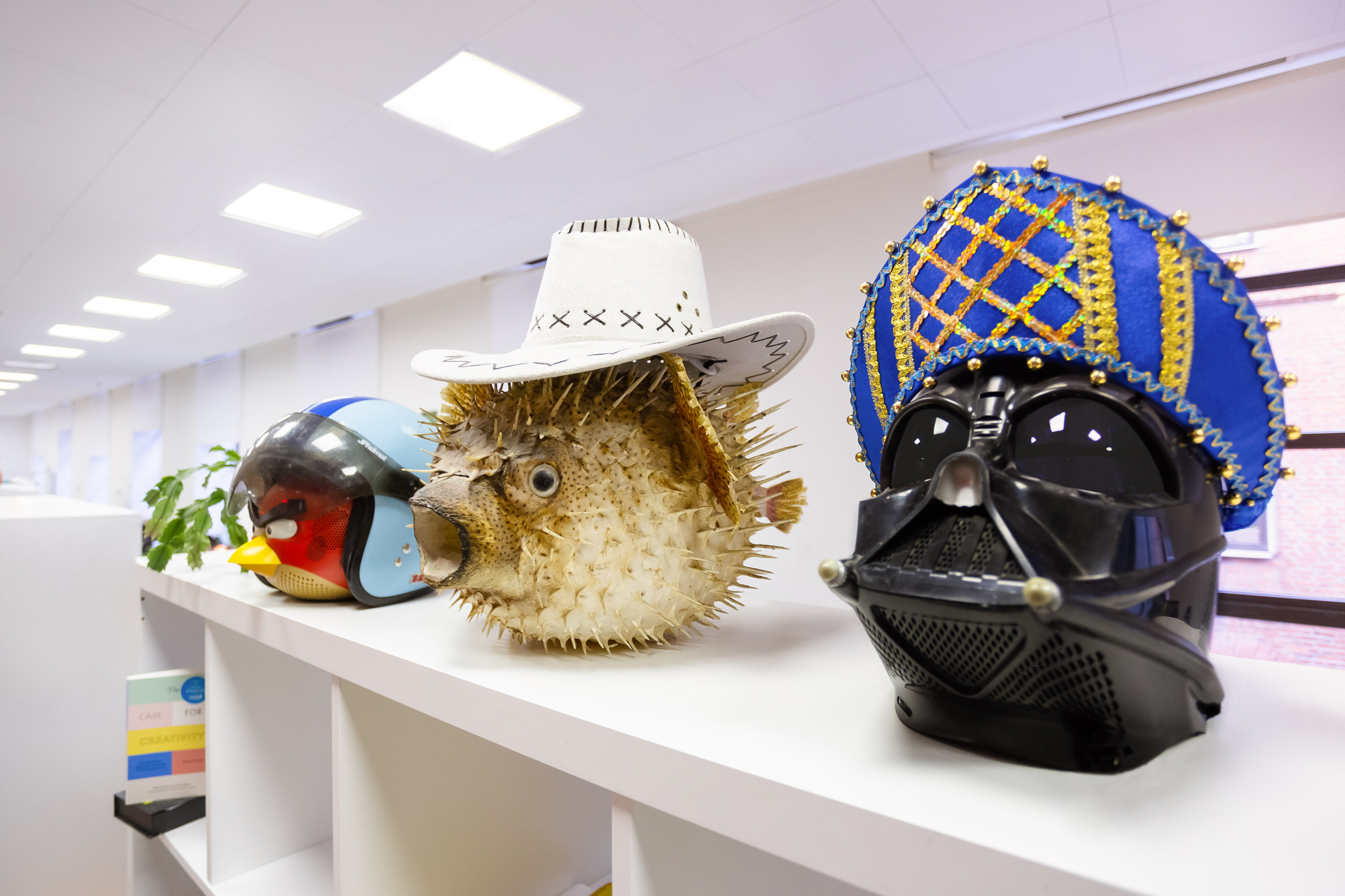 Креативное агентство. Видеограф Добромыслов