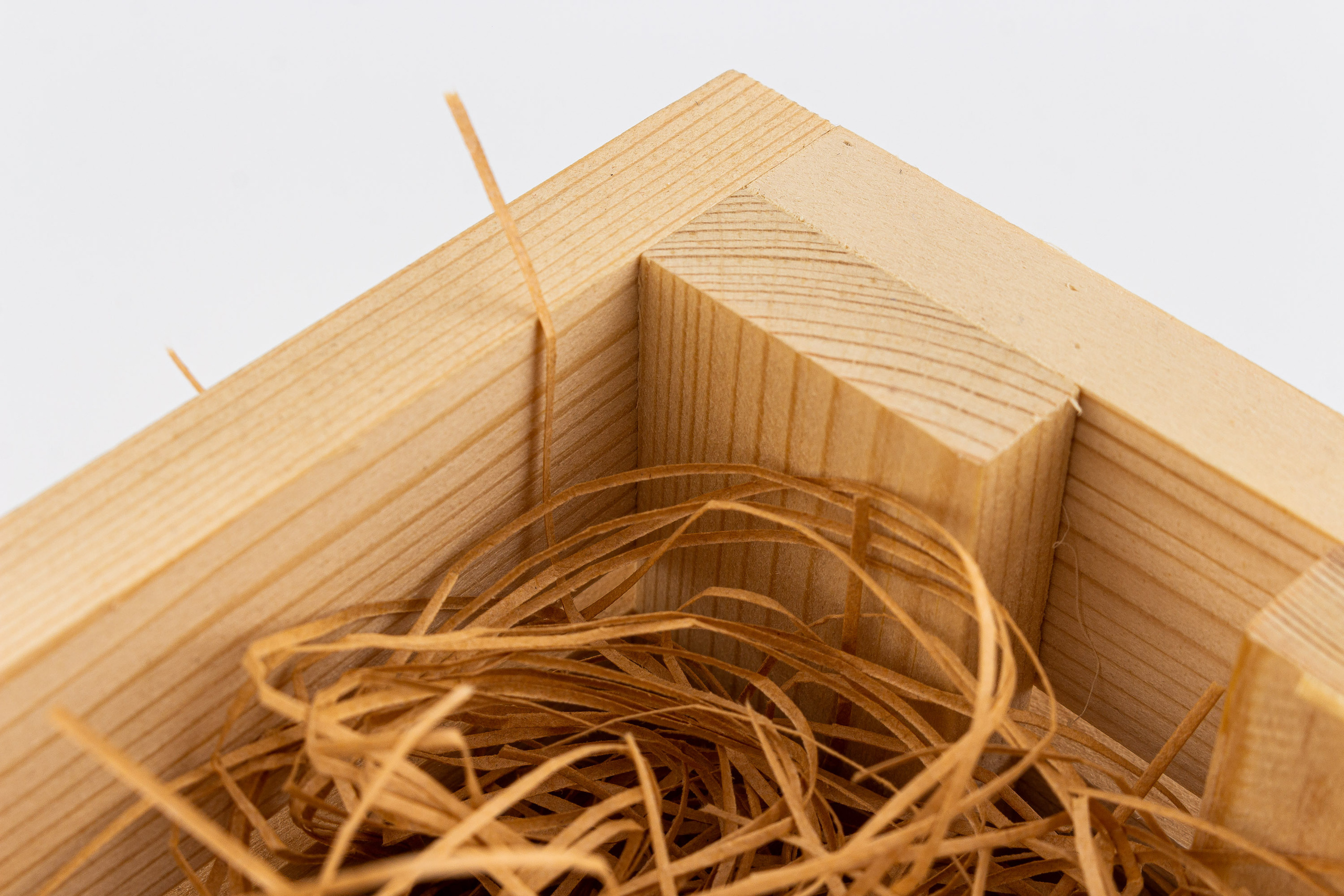 Предметка. Видеограф Добромыслов