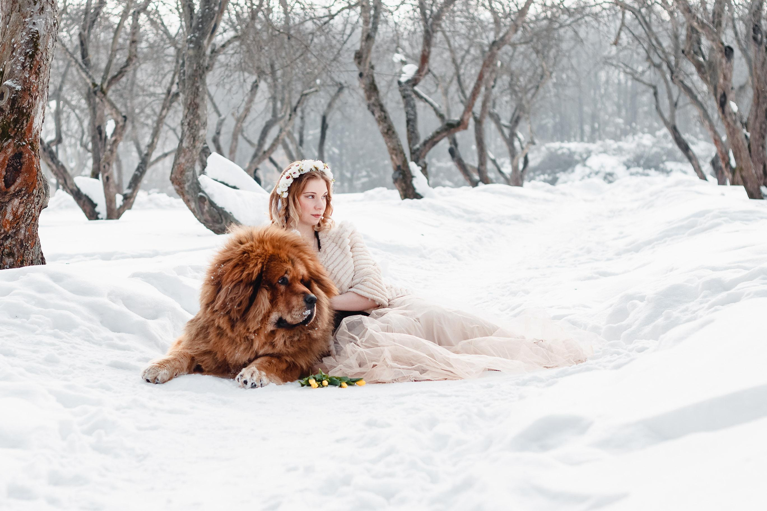 Уличные. Видеограф Добромыслов