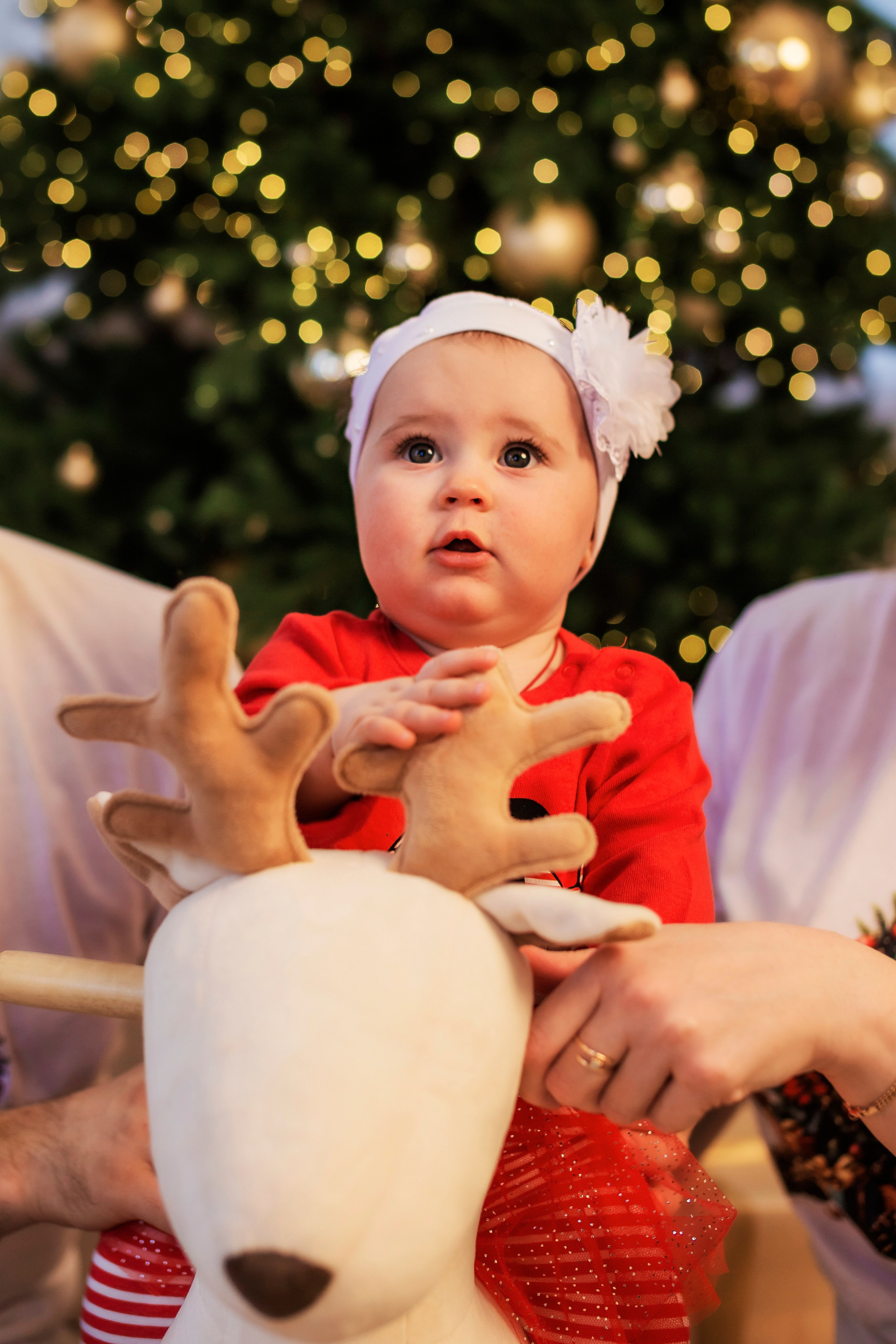 Фотостудия ЛИОН. Семейный фотограф в Саратове