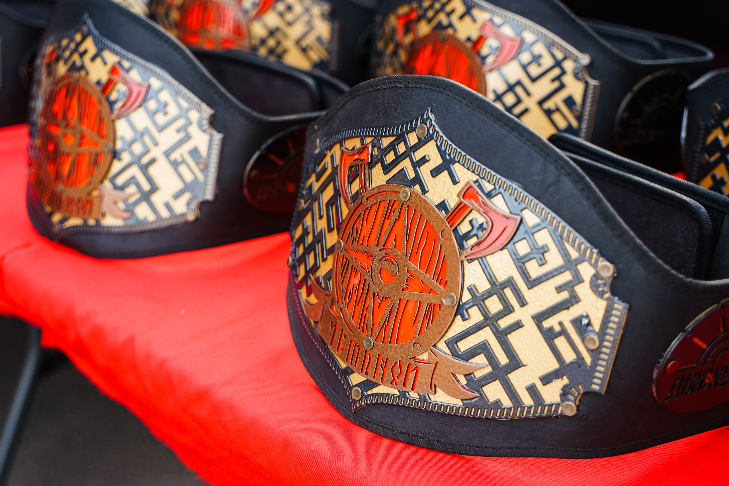 Вечер боев в ЦПКиО. Фотограф Надежда Погребняк | Рязань | Москва